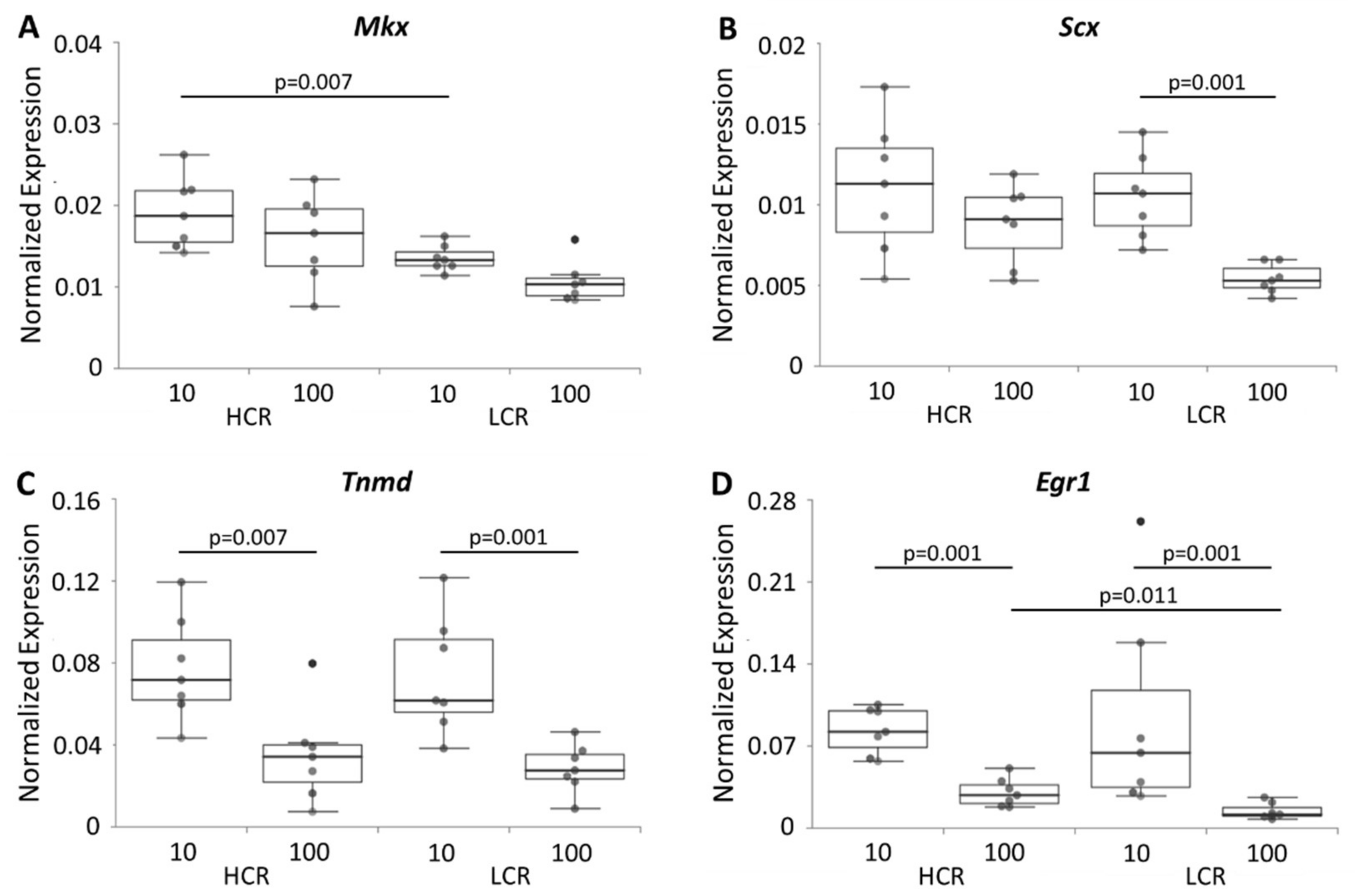 Biomedicines 10 00509 g005