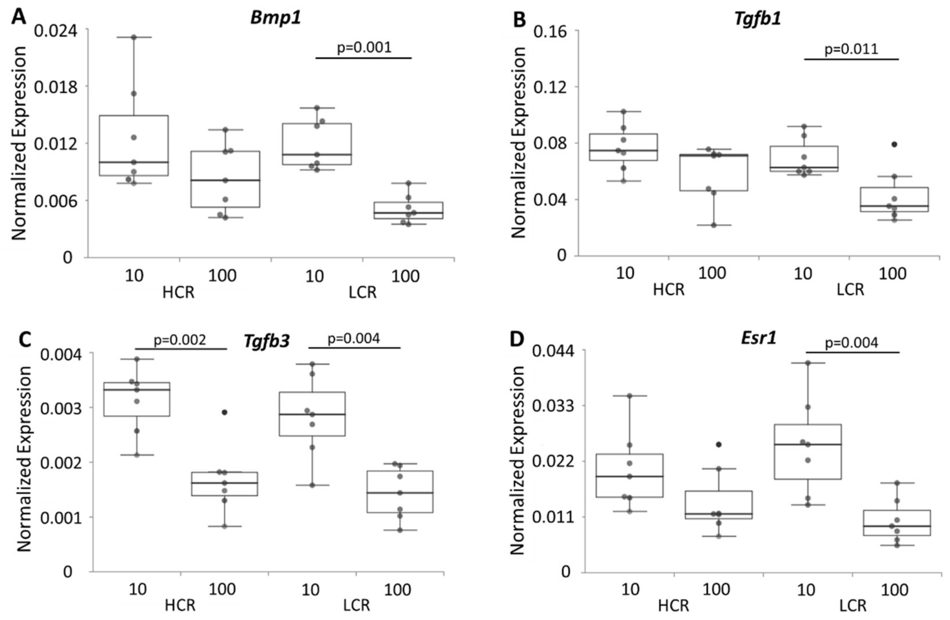 Biomedicines 10 00509 g006