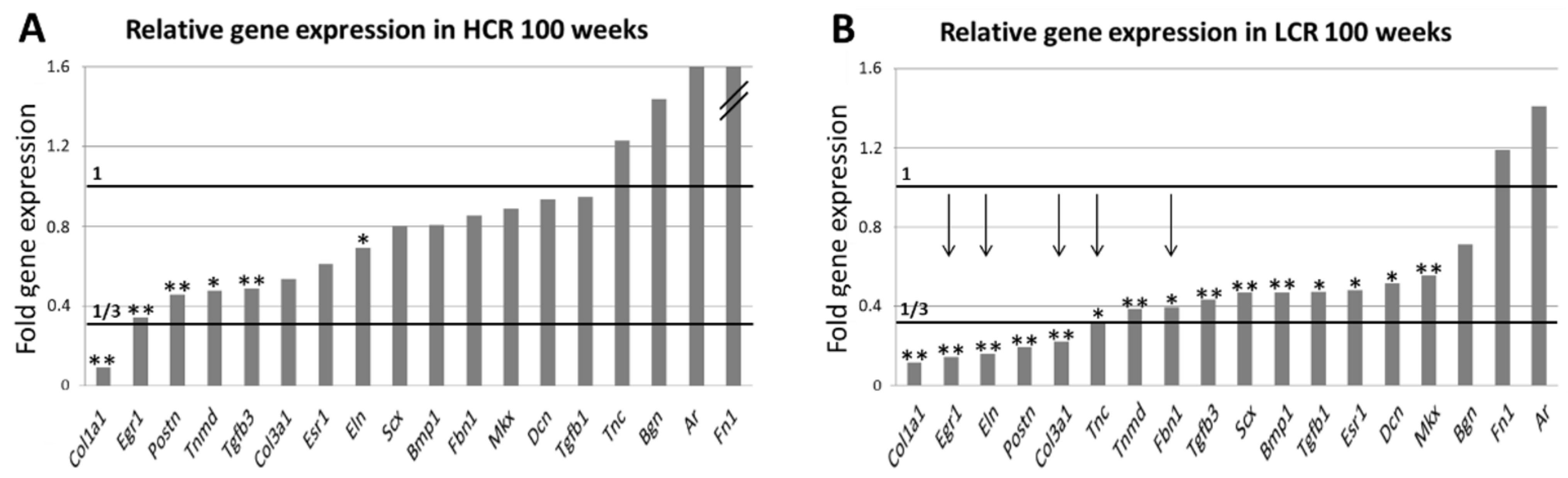 Biomedicines 10 00509 g007