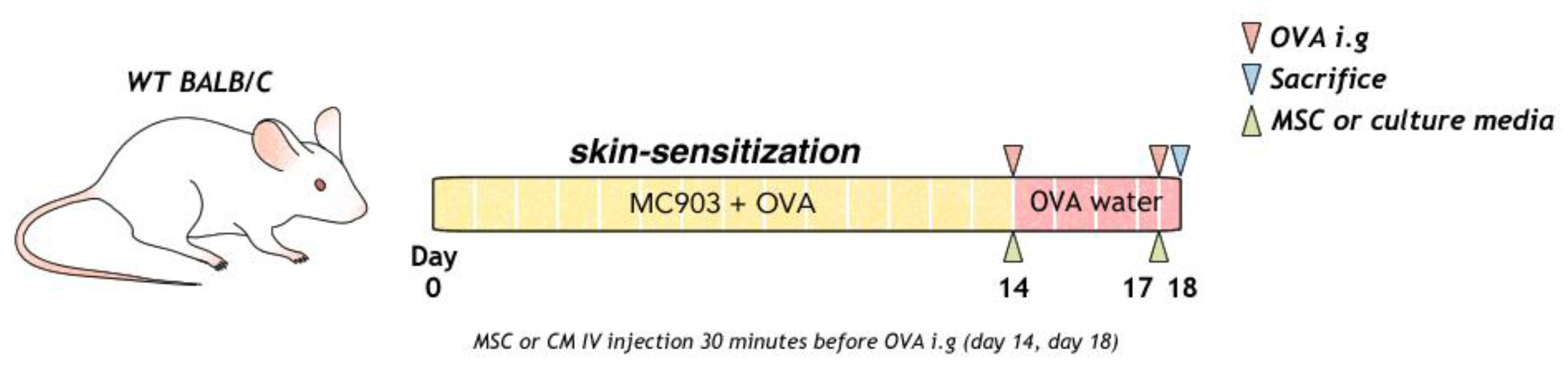 Biomedicines 10 00511 g001