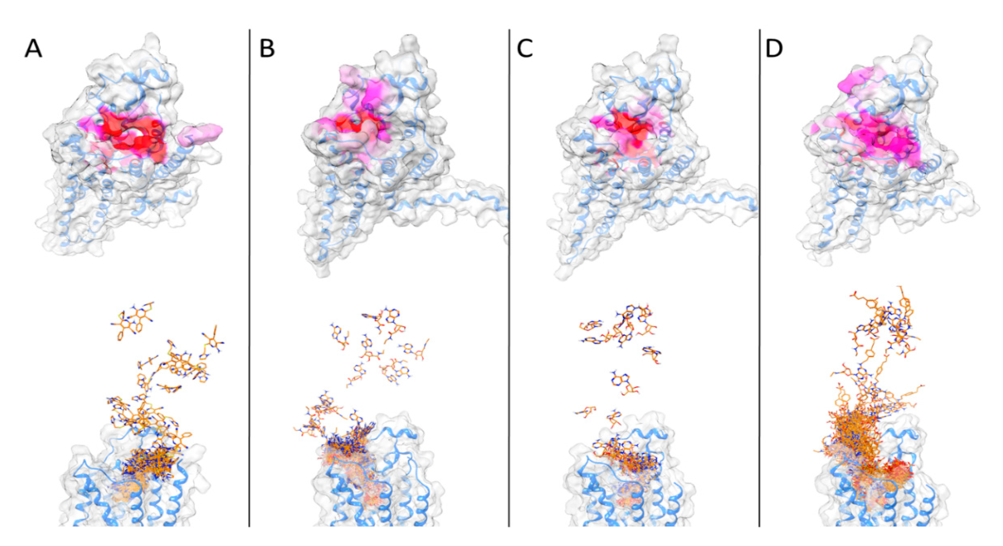 Biomedicines 10 00515 g007