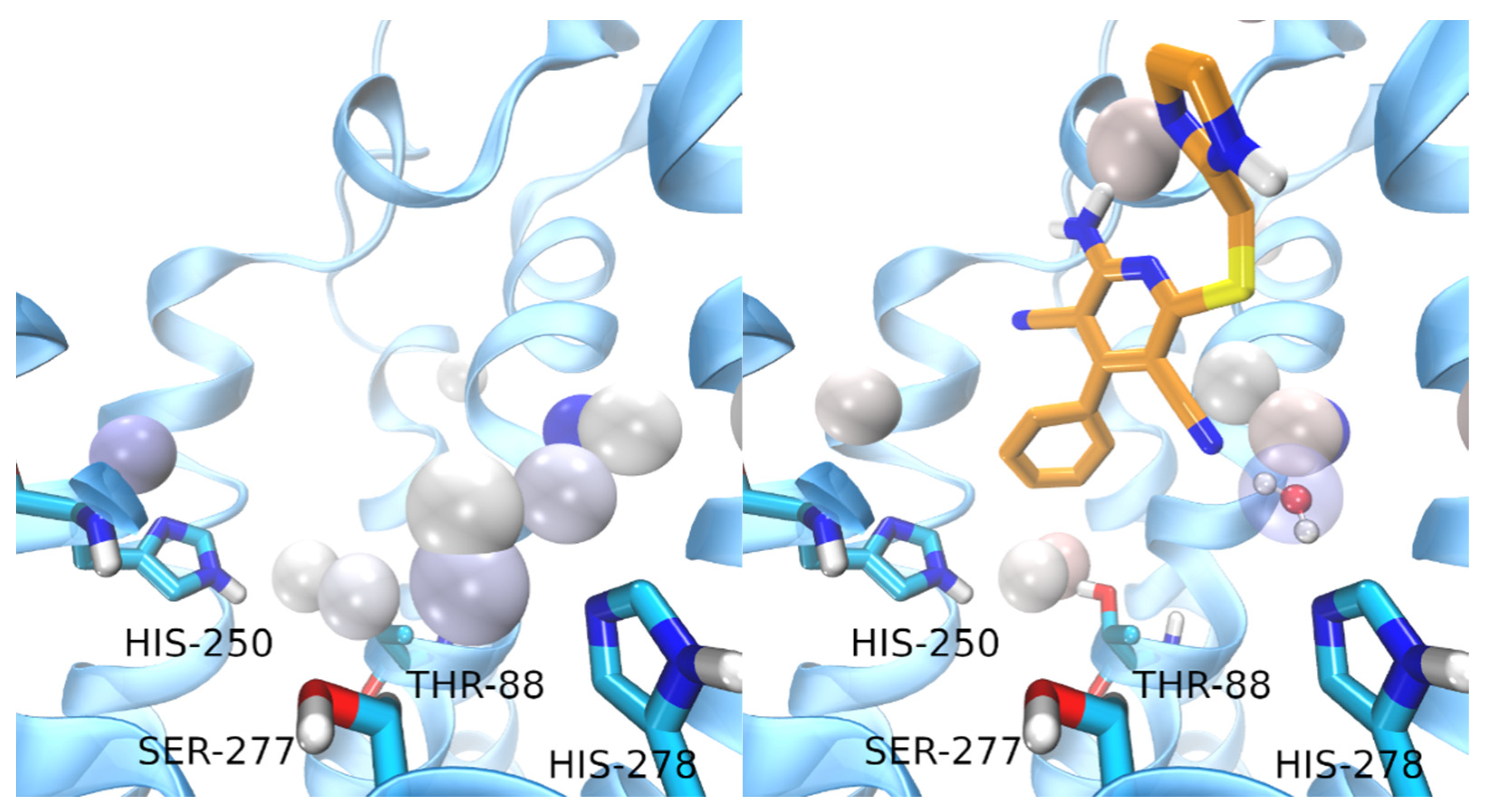 Biomedicines 10 00515 g008