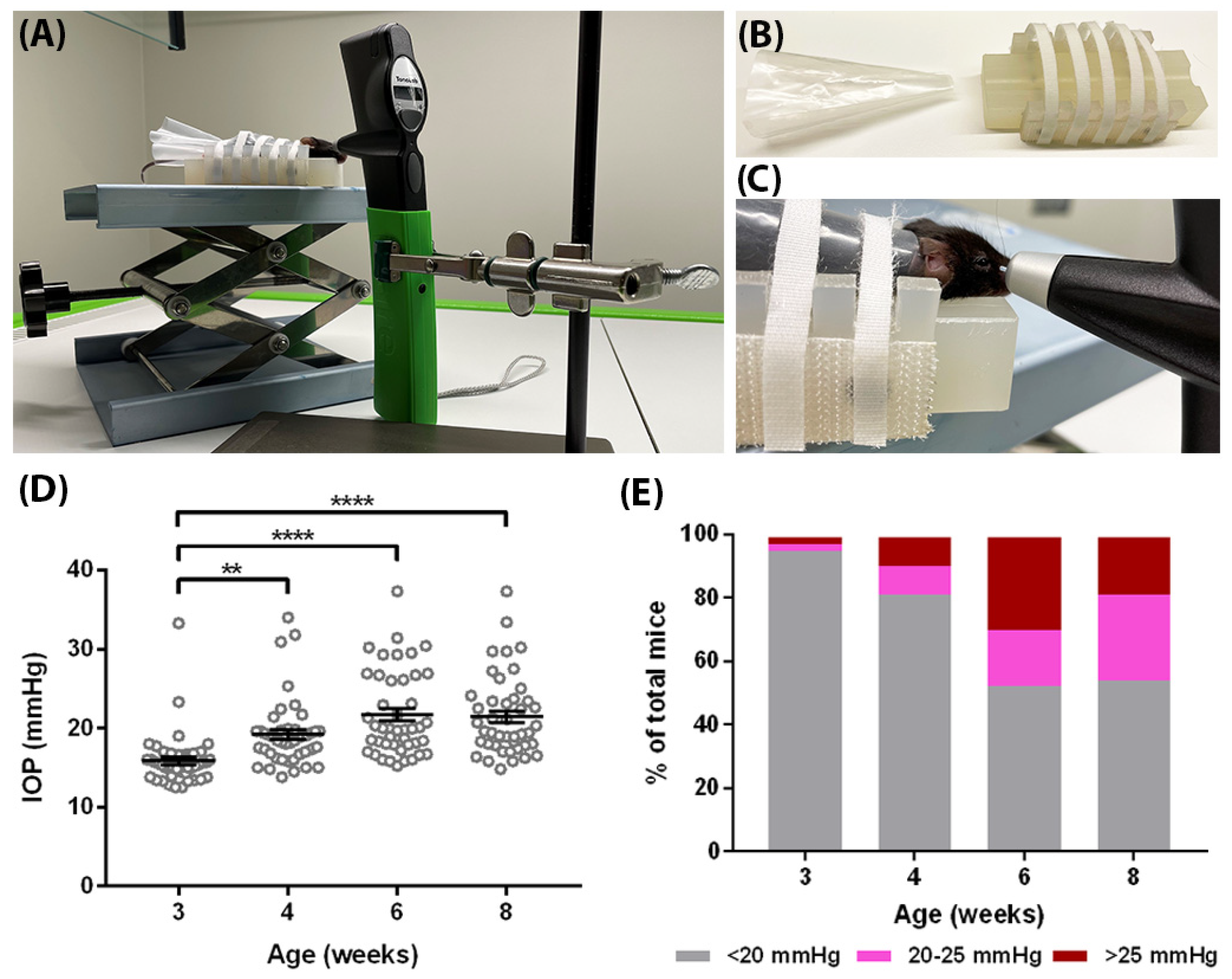 Biomedicines 10 00516 g002 Biomedicines 10 00516 g002