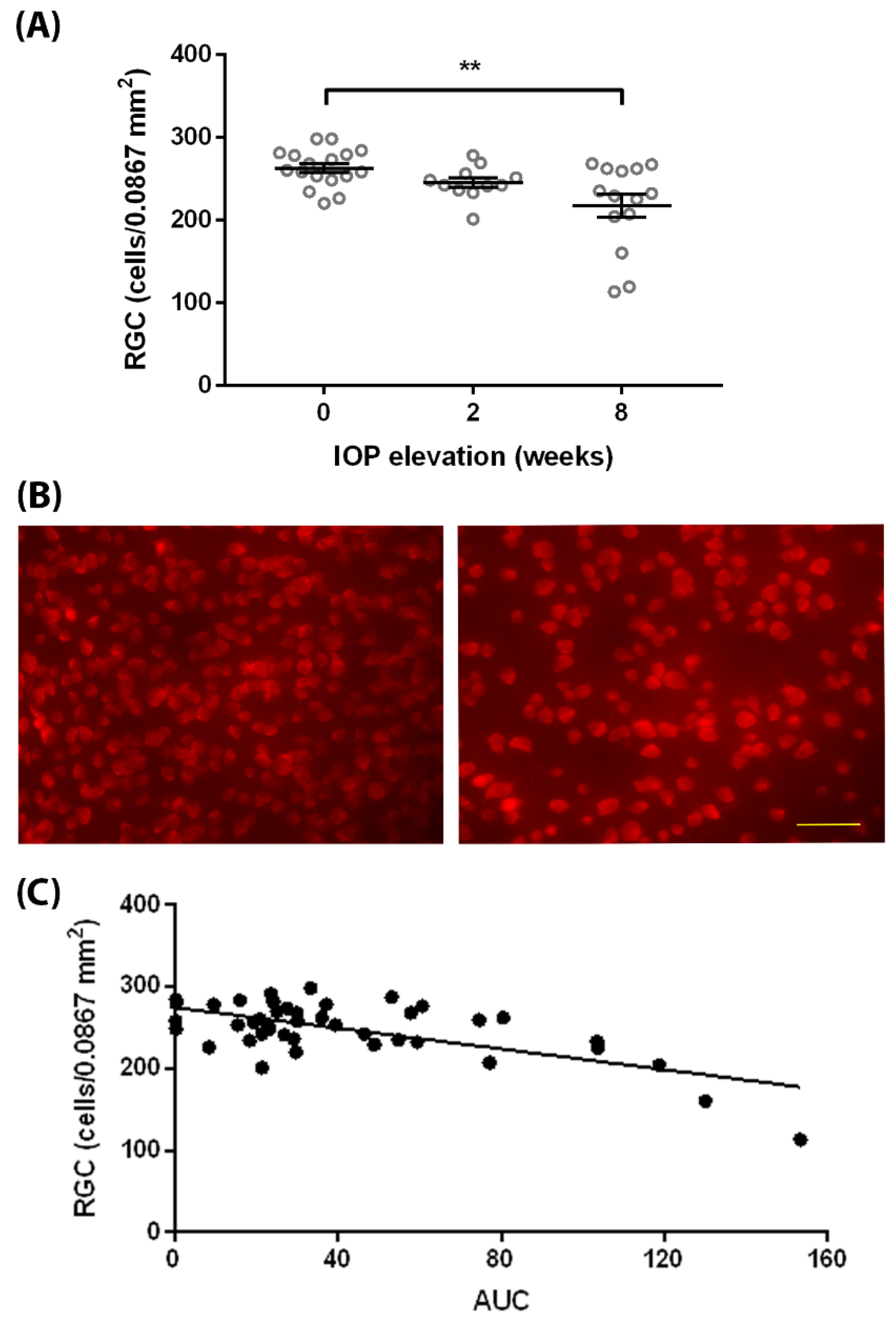 Biomedicines 10 00516 g004 Biomedicines 10 00516 g004