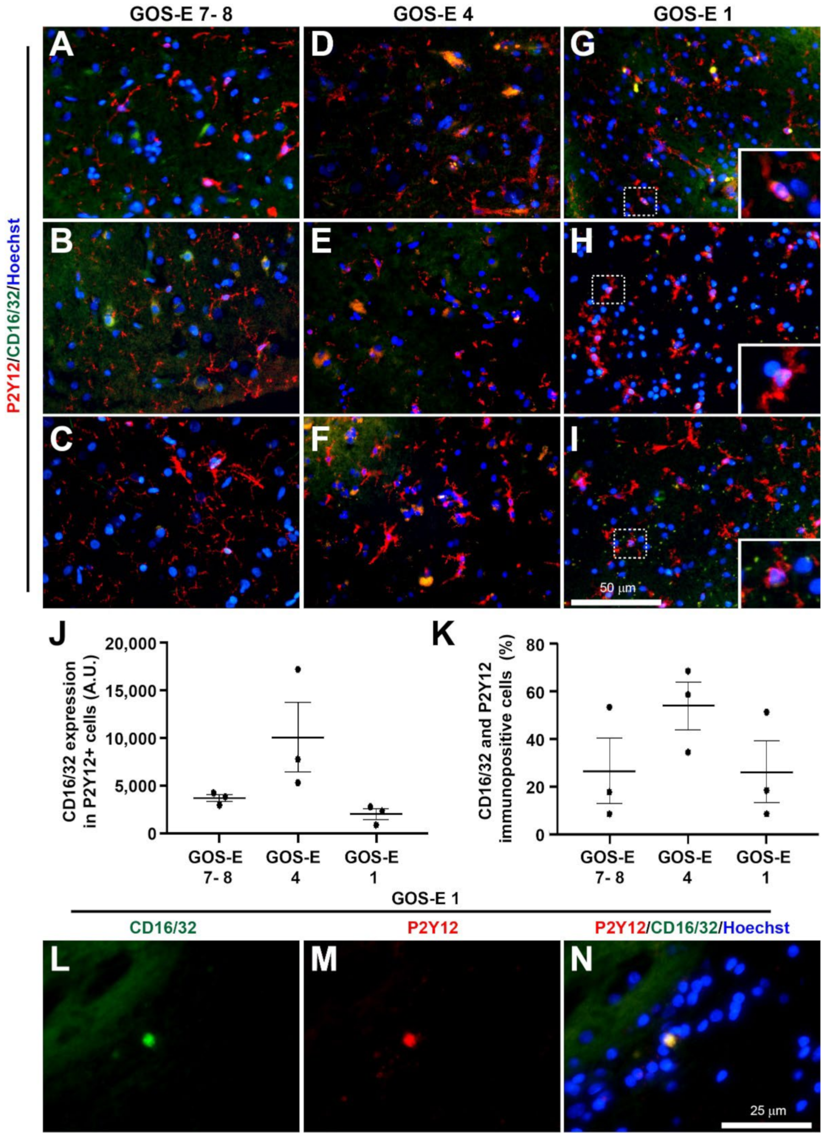 Biomedicines 10 00518 g011 Biomedicines 10 00518 g011