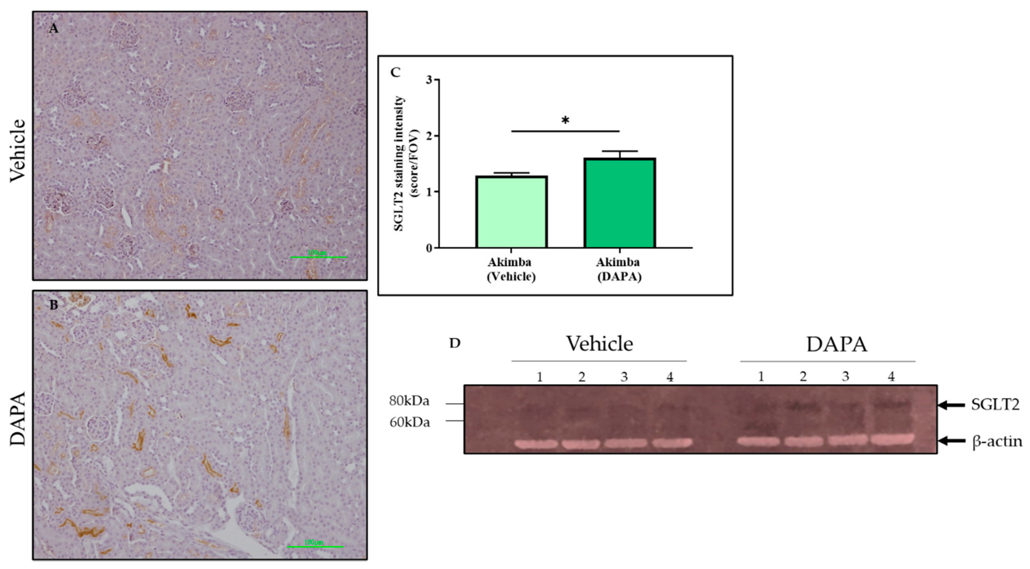 Biomedicines 10 00522 g006