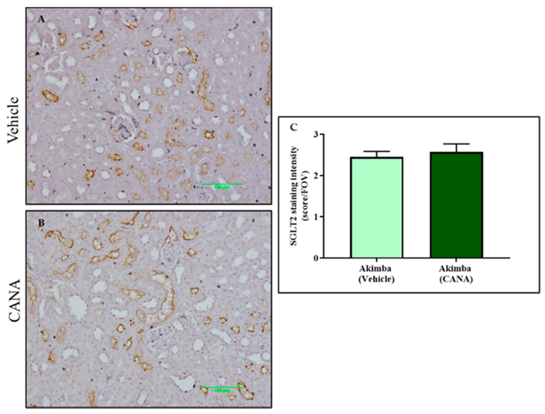 Biomedicines 10 00522 g008