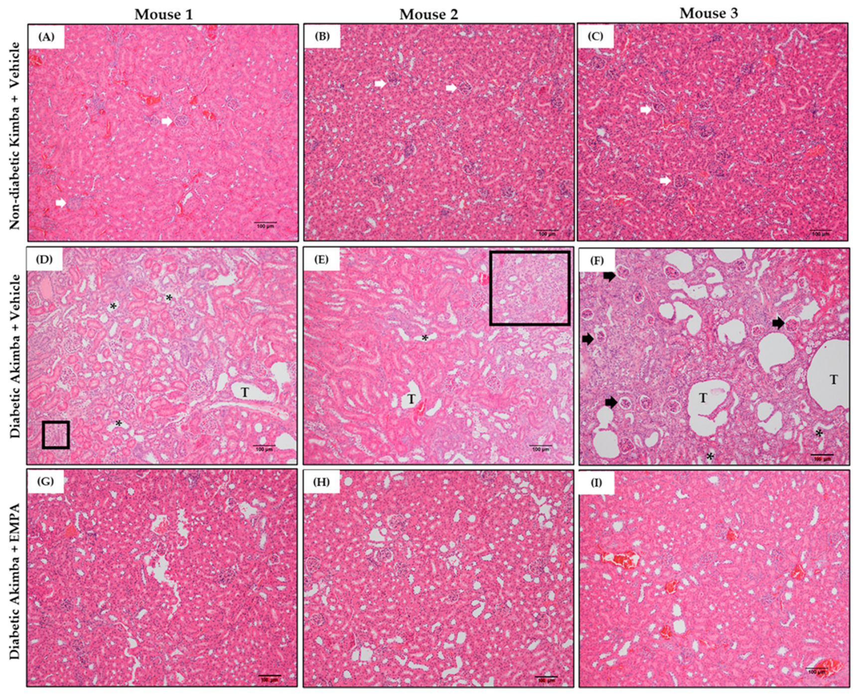 Biomedicines 10 00522 g009