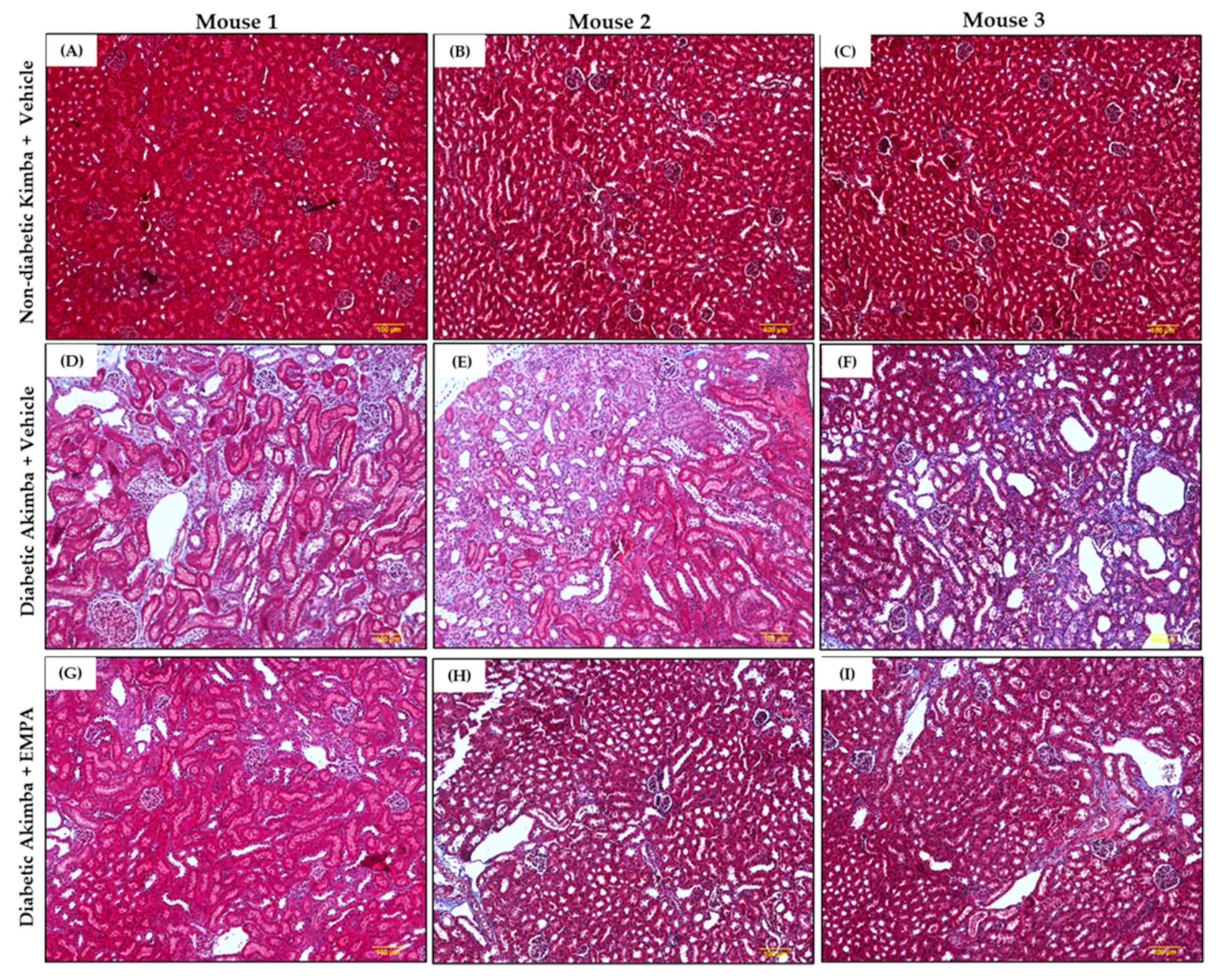 Biomedicines 10 00522 g010