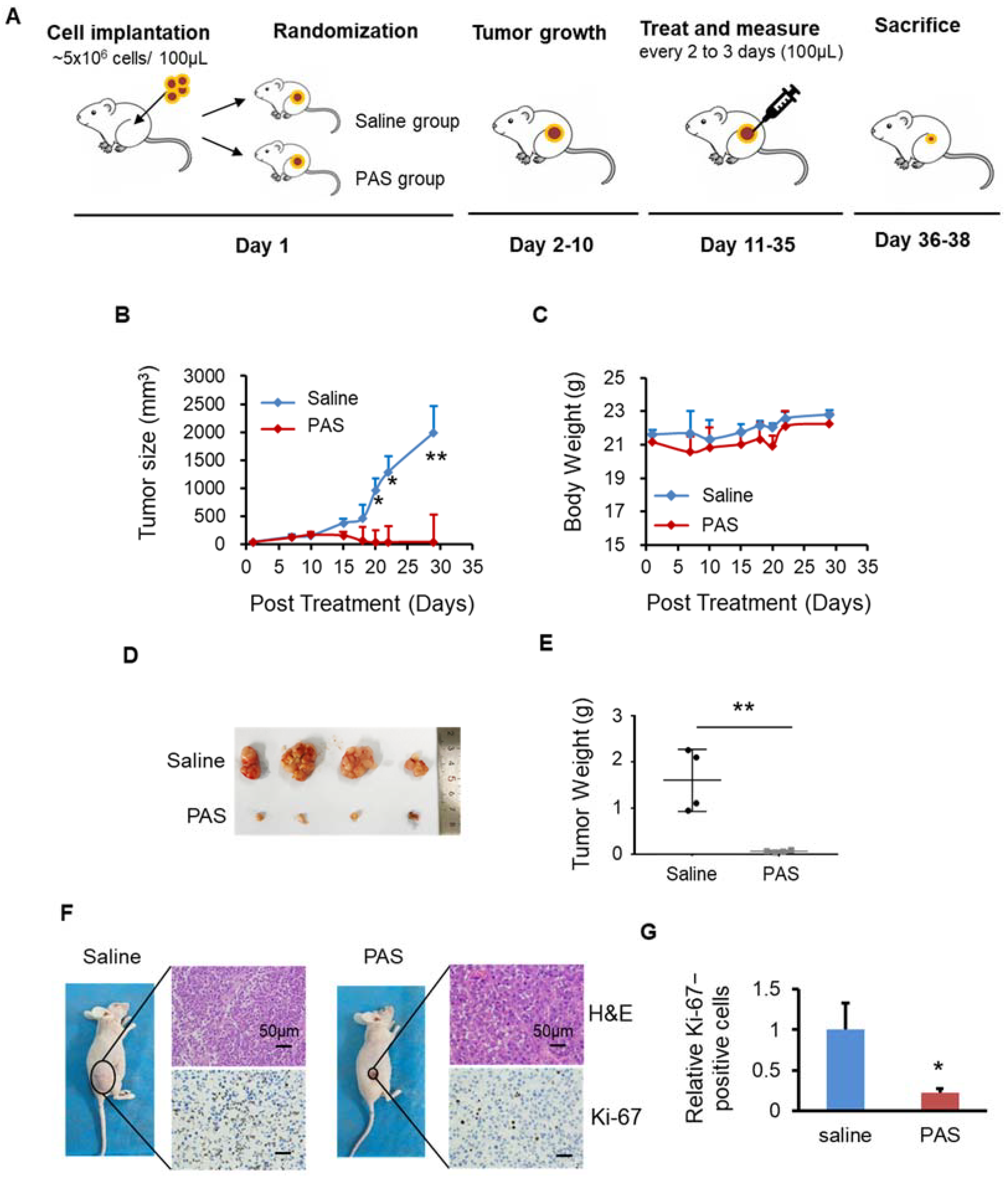 Biomedicines 10 00528 g002