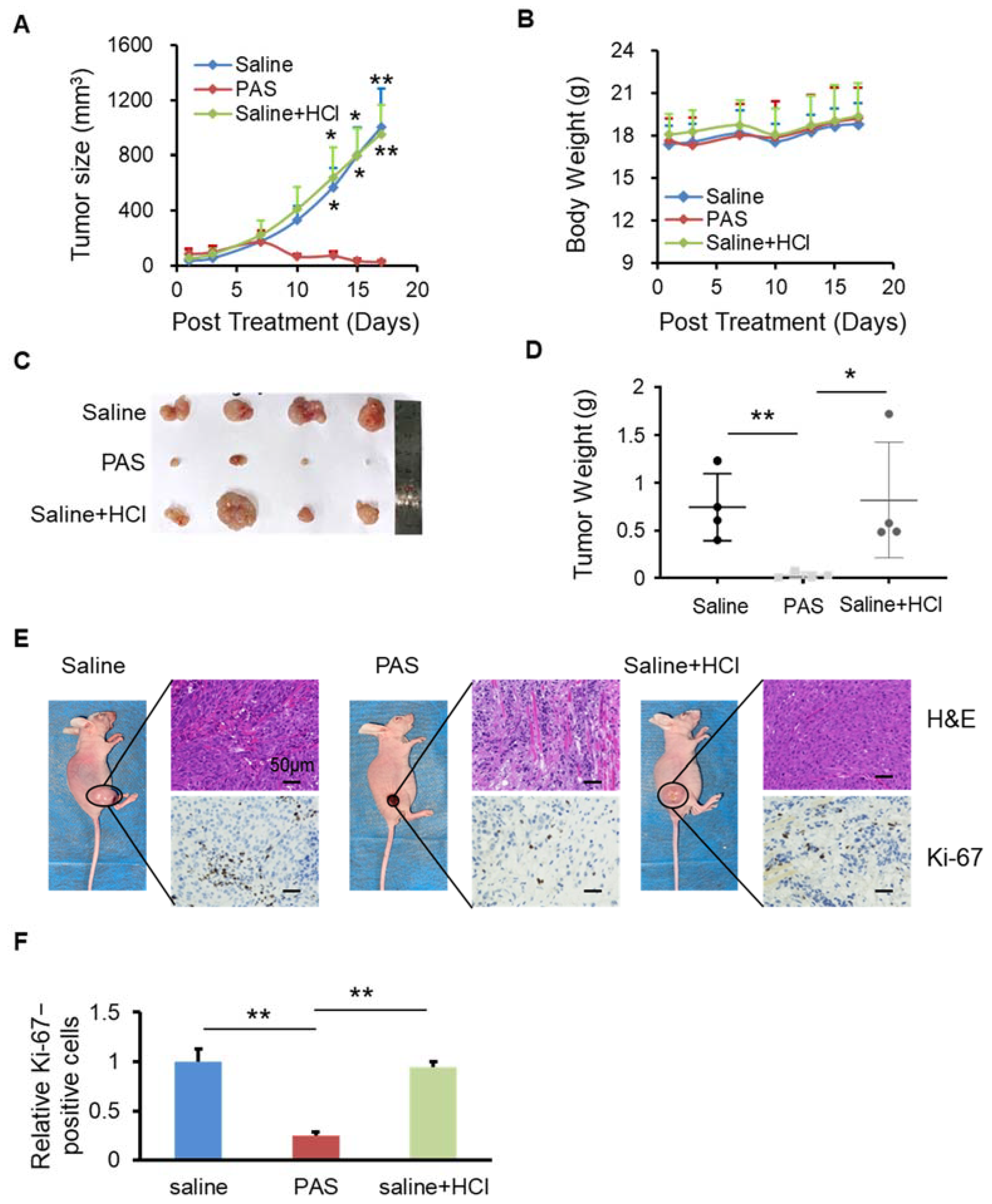 Biomedicines 10 00528 g003