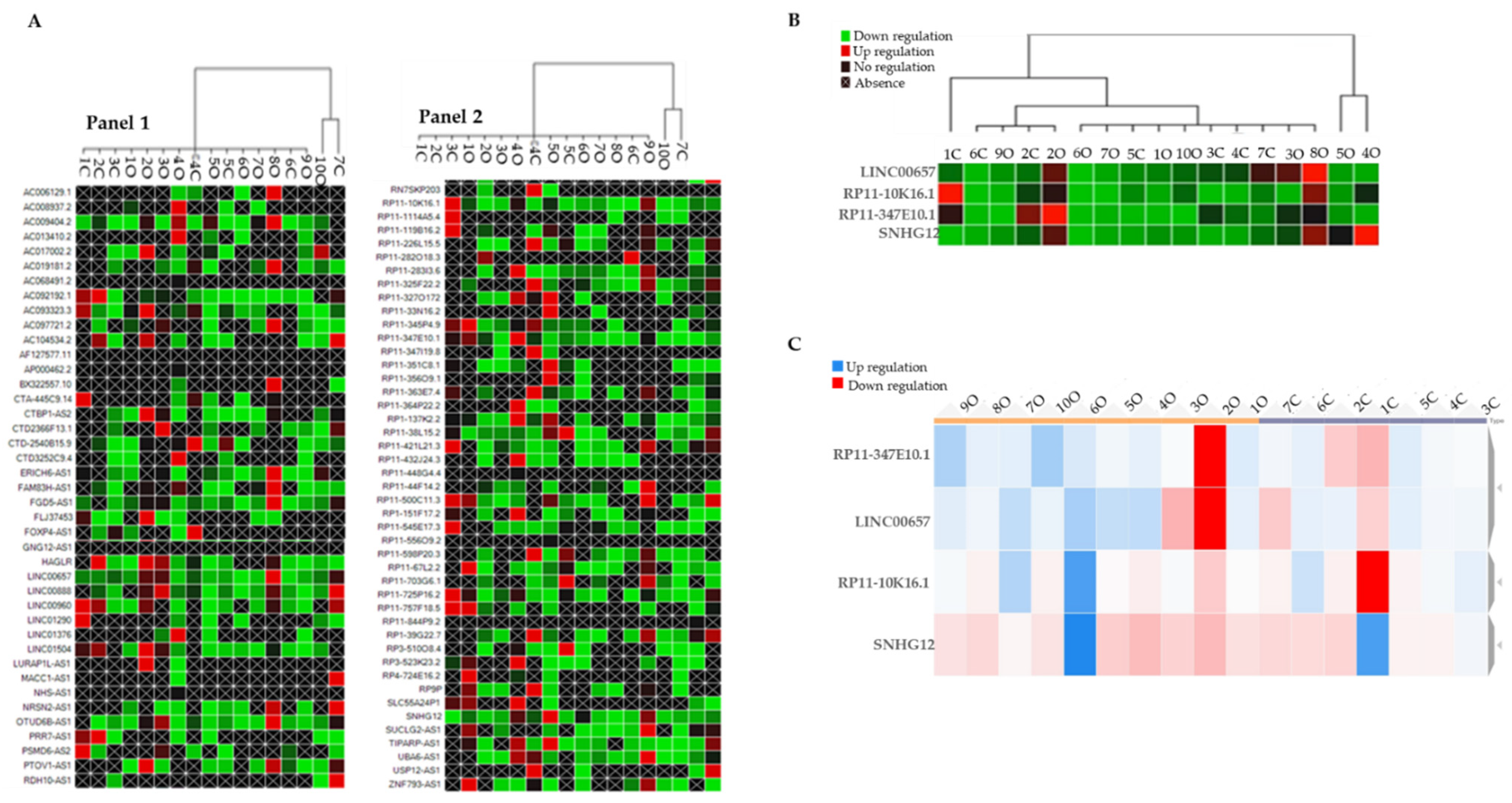 Biomedicines 10 00529 g001 Biomedicines 10 00529 g001