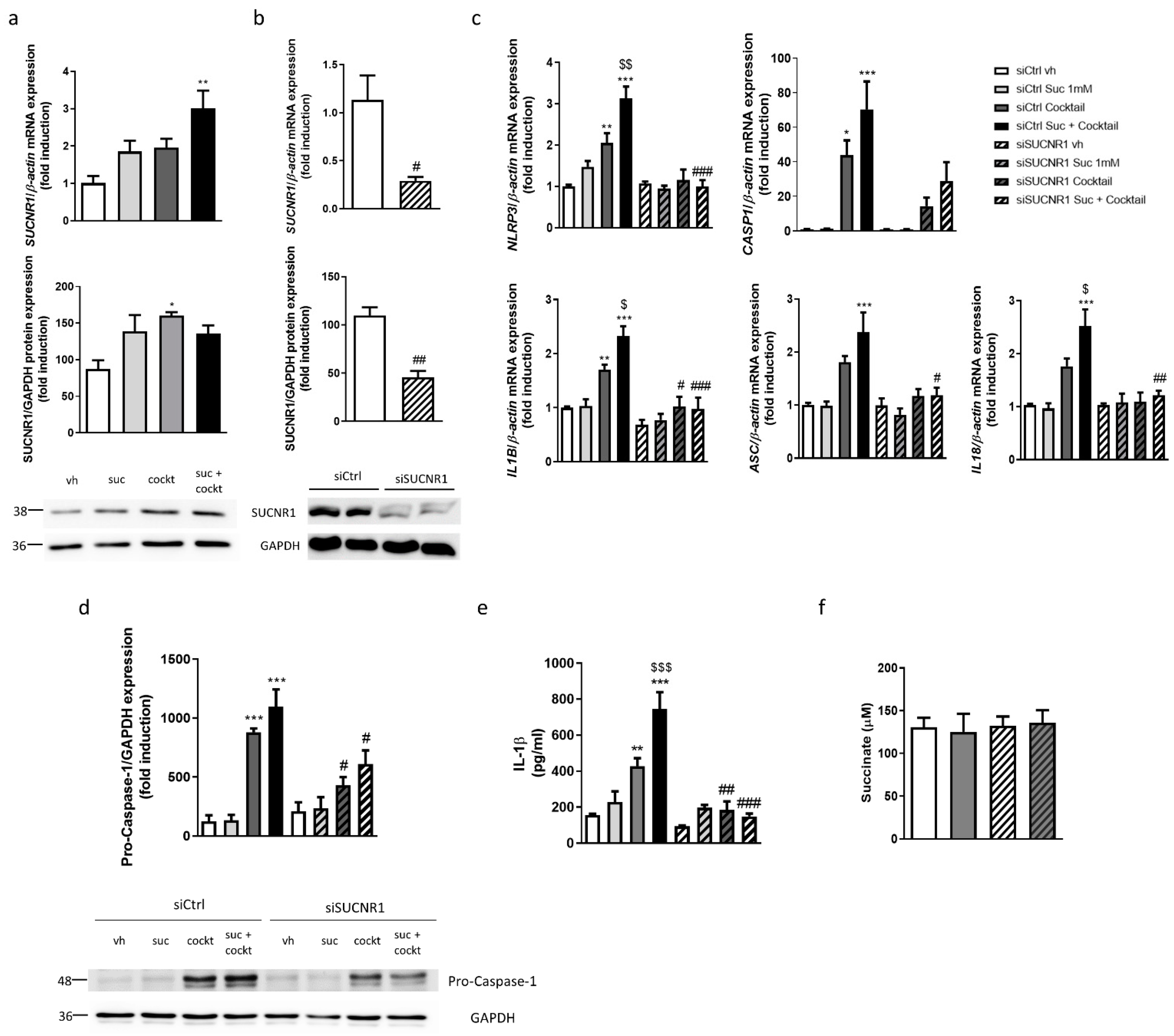Biomedicines 10 00532 g001 Biomedicines 10 00532 g001