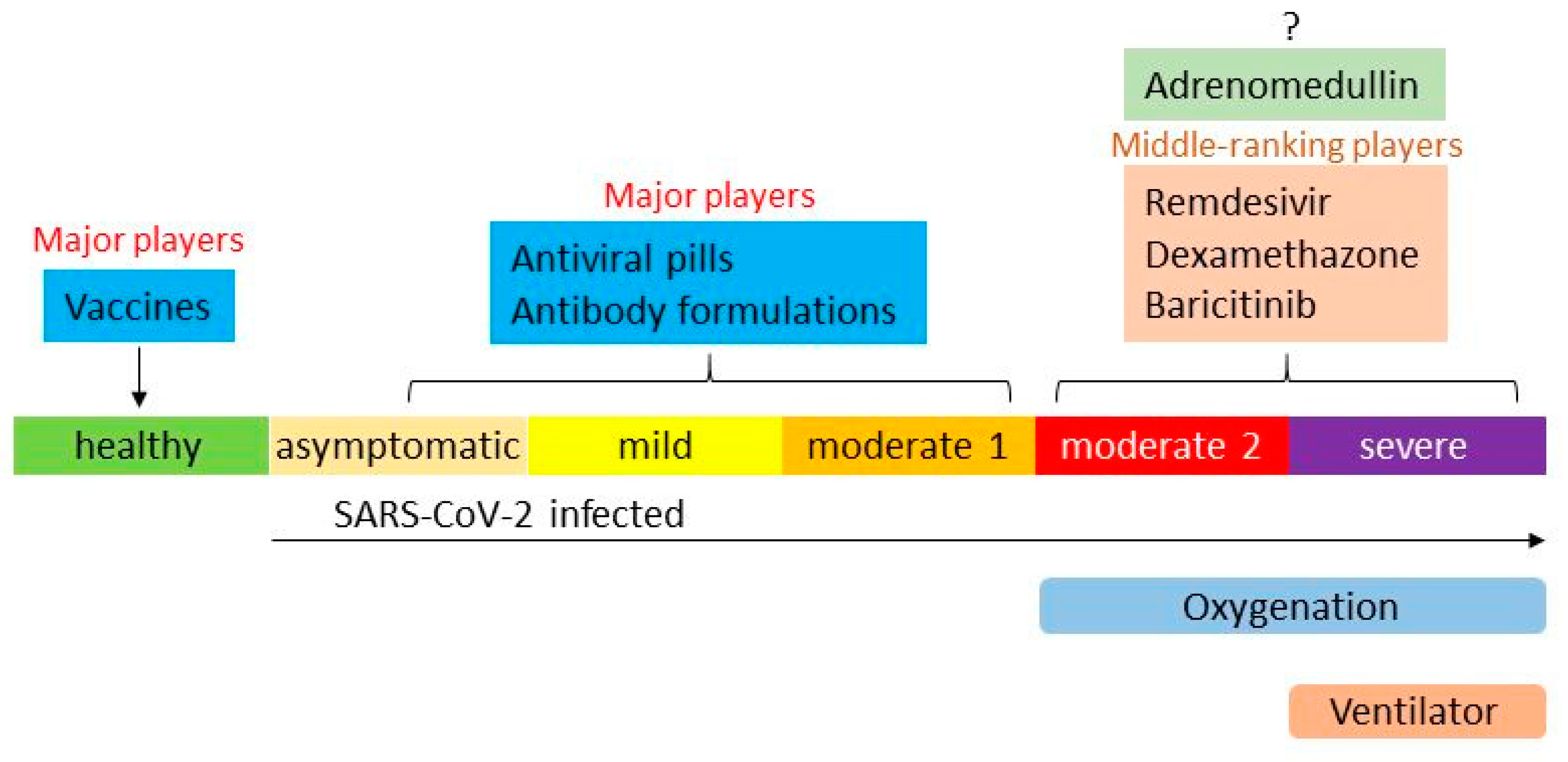 Biomedicines 10 00533 g001
