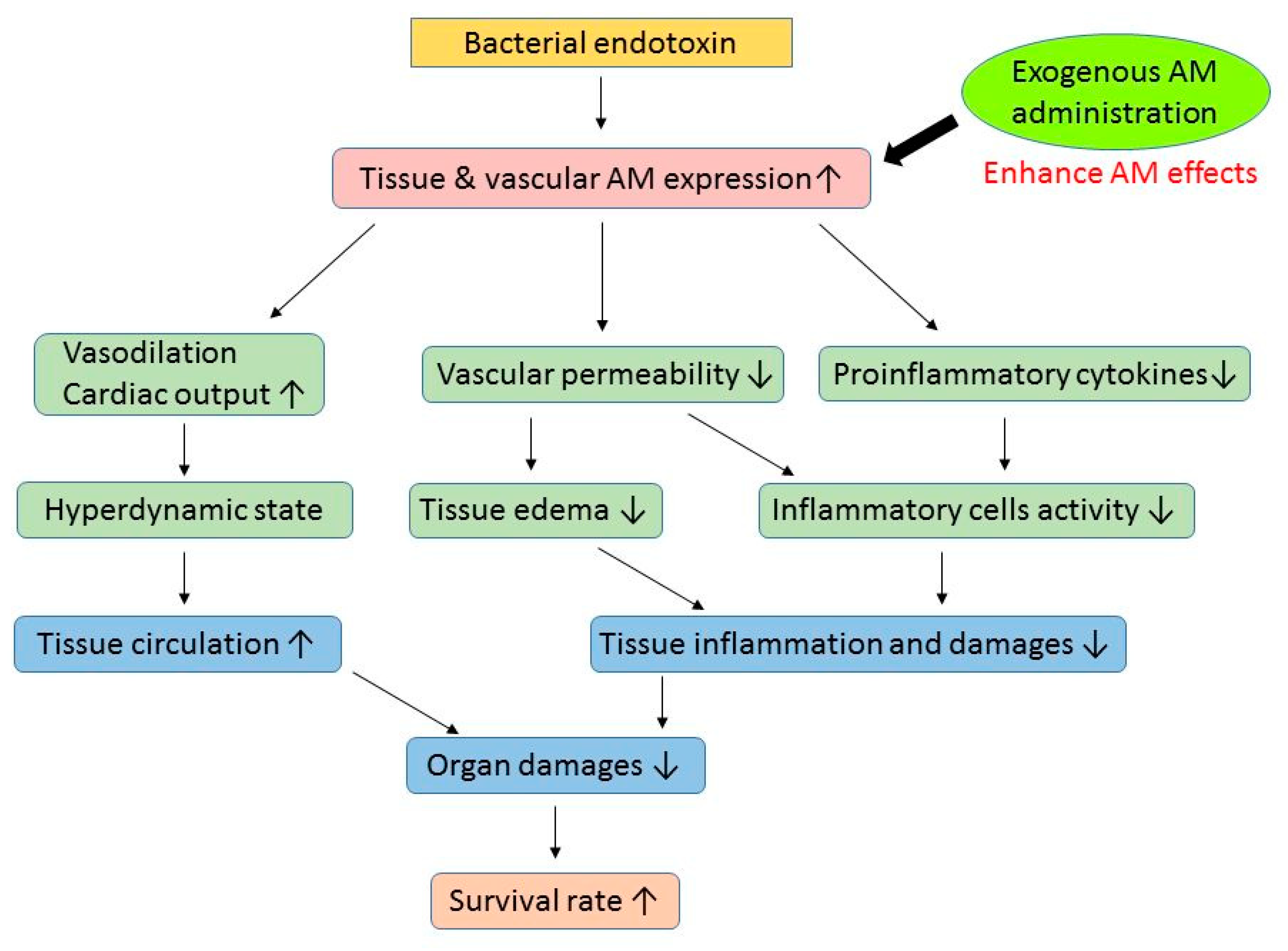 Biomedicines 10 00533 g003
