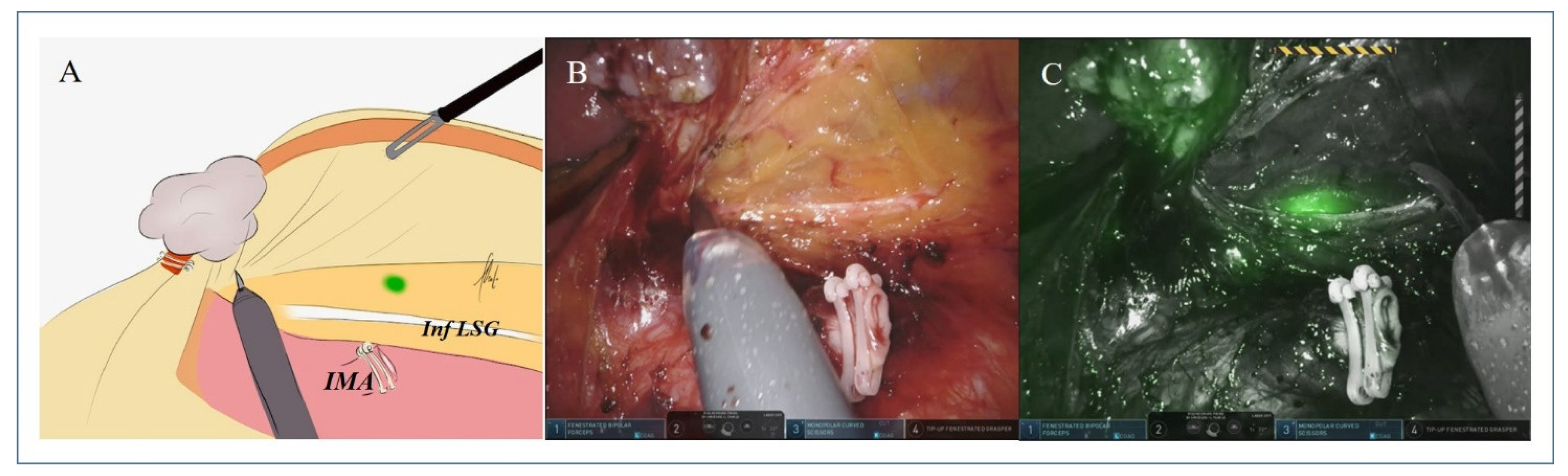 Biomedicines 10 00541 g001