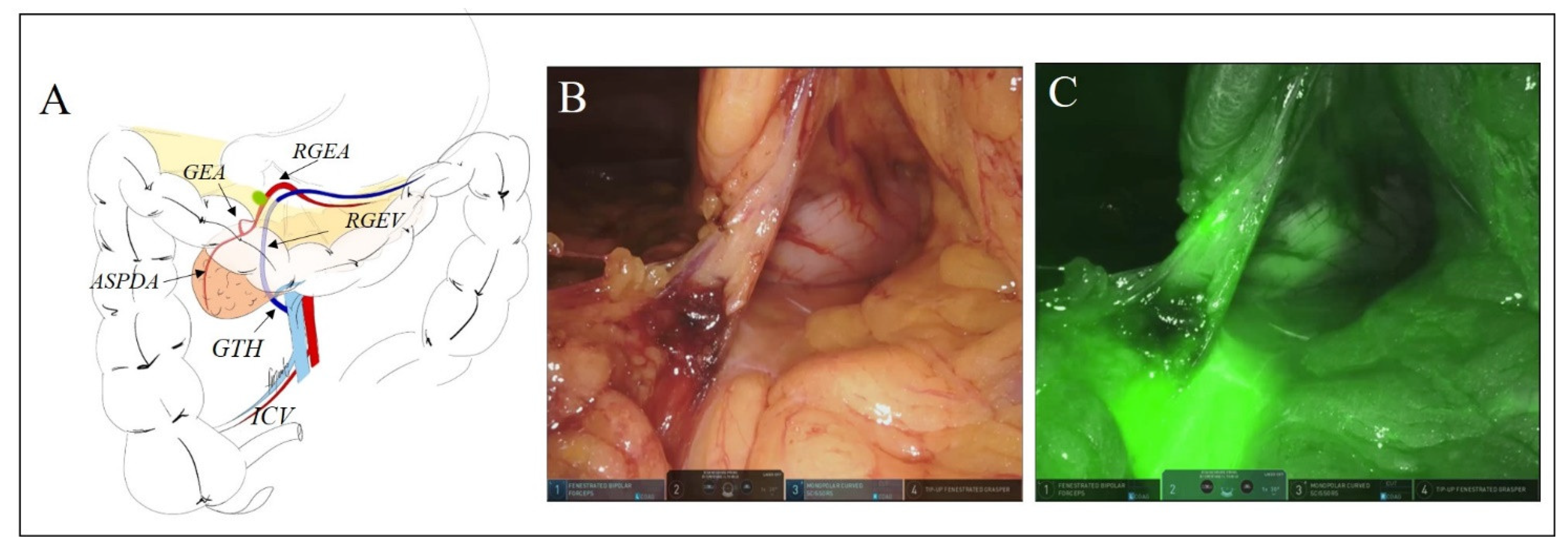 Biomedicines 10 00541 g002