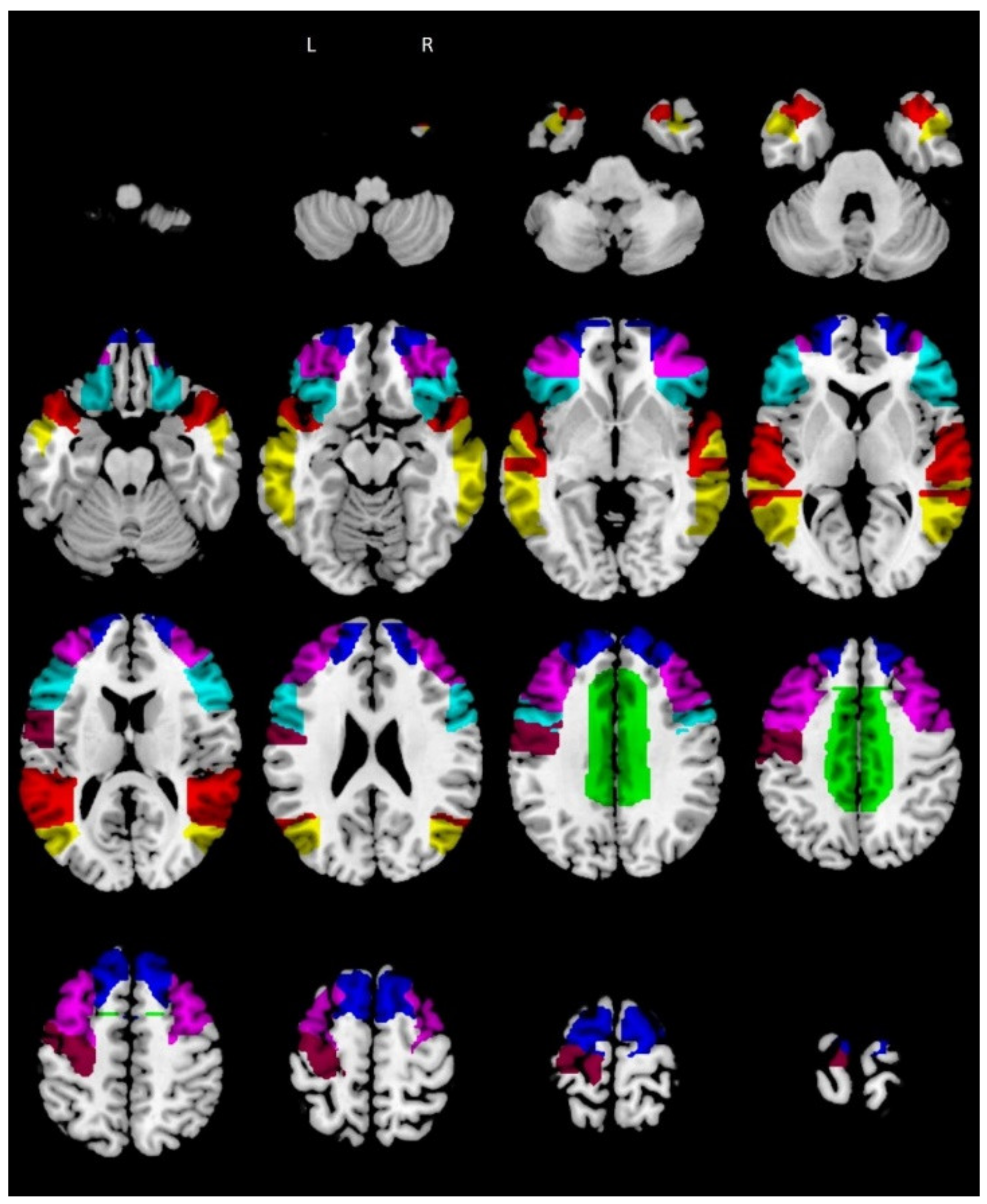 Biomedicines 10 00544 g001