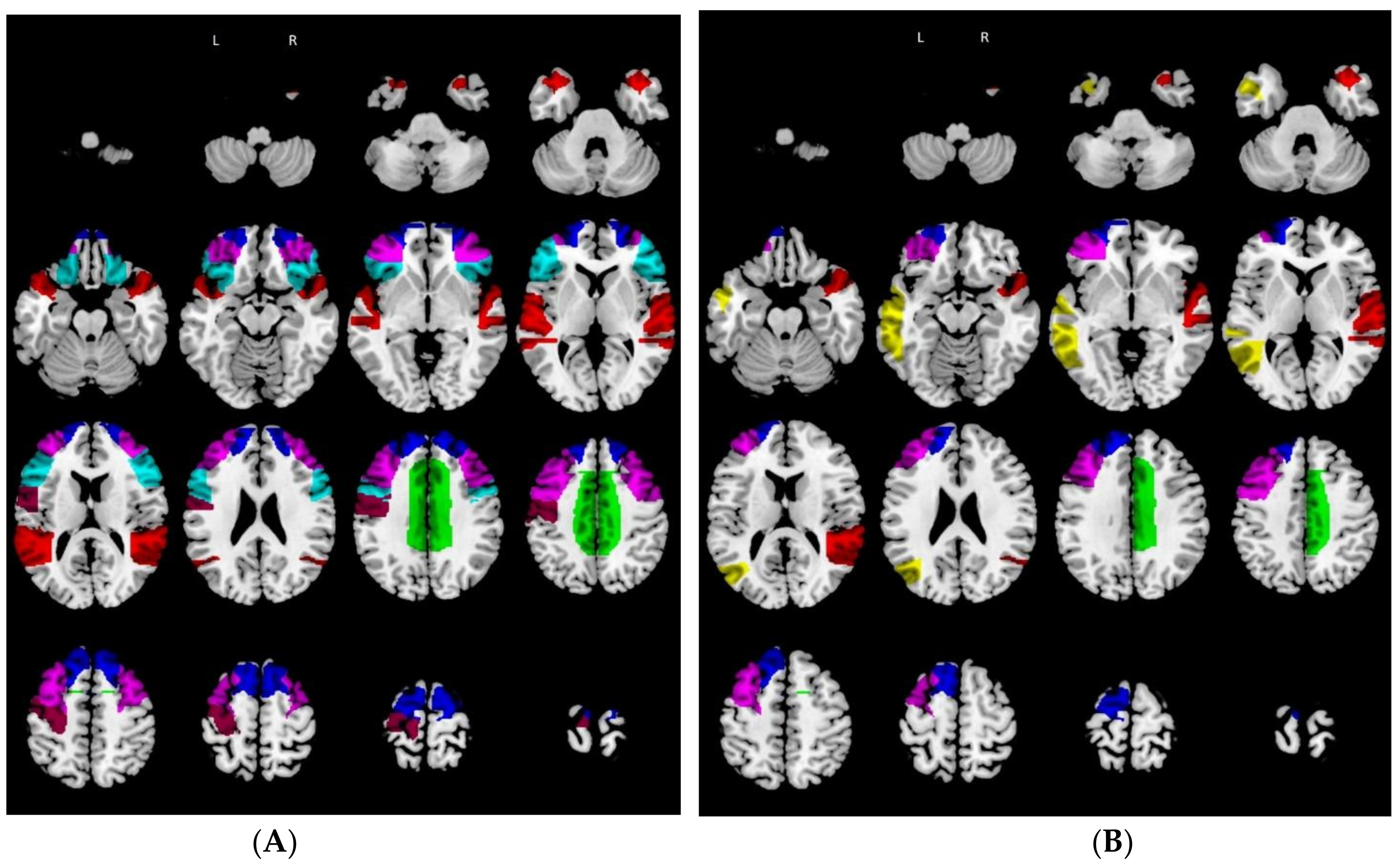 Biomedicines 10 00544 g002