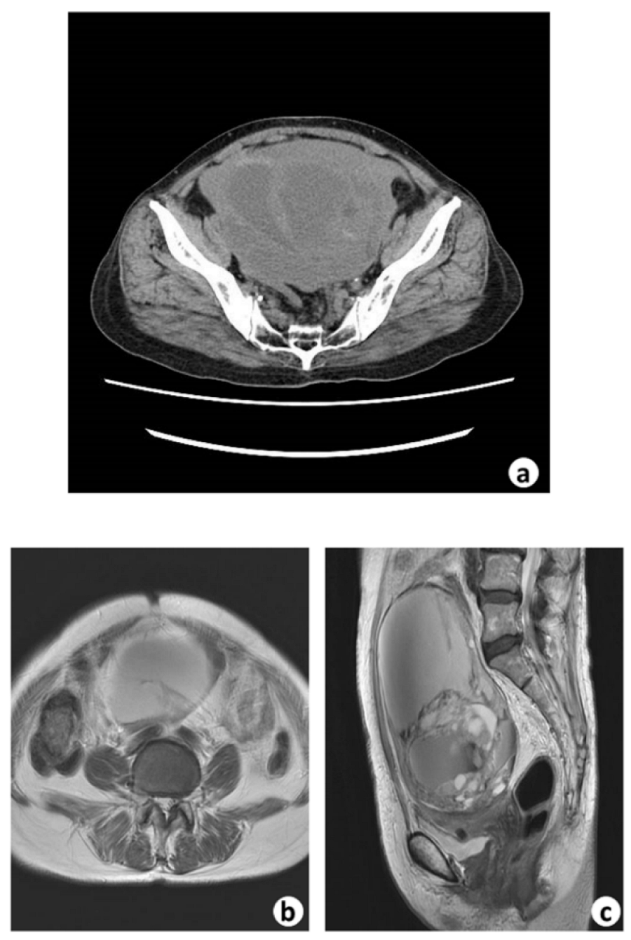 Biomedicines 10 00547 g001