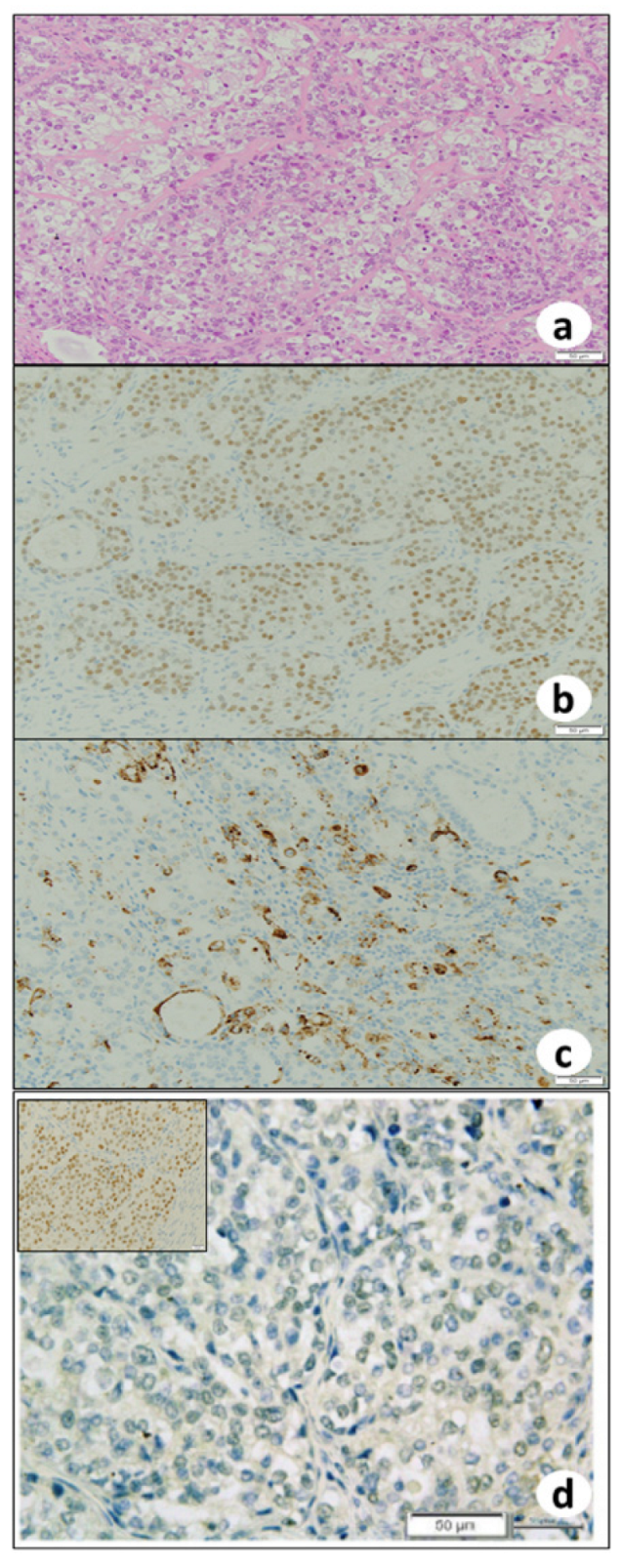 Biomedicines 10 00547 g003