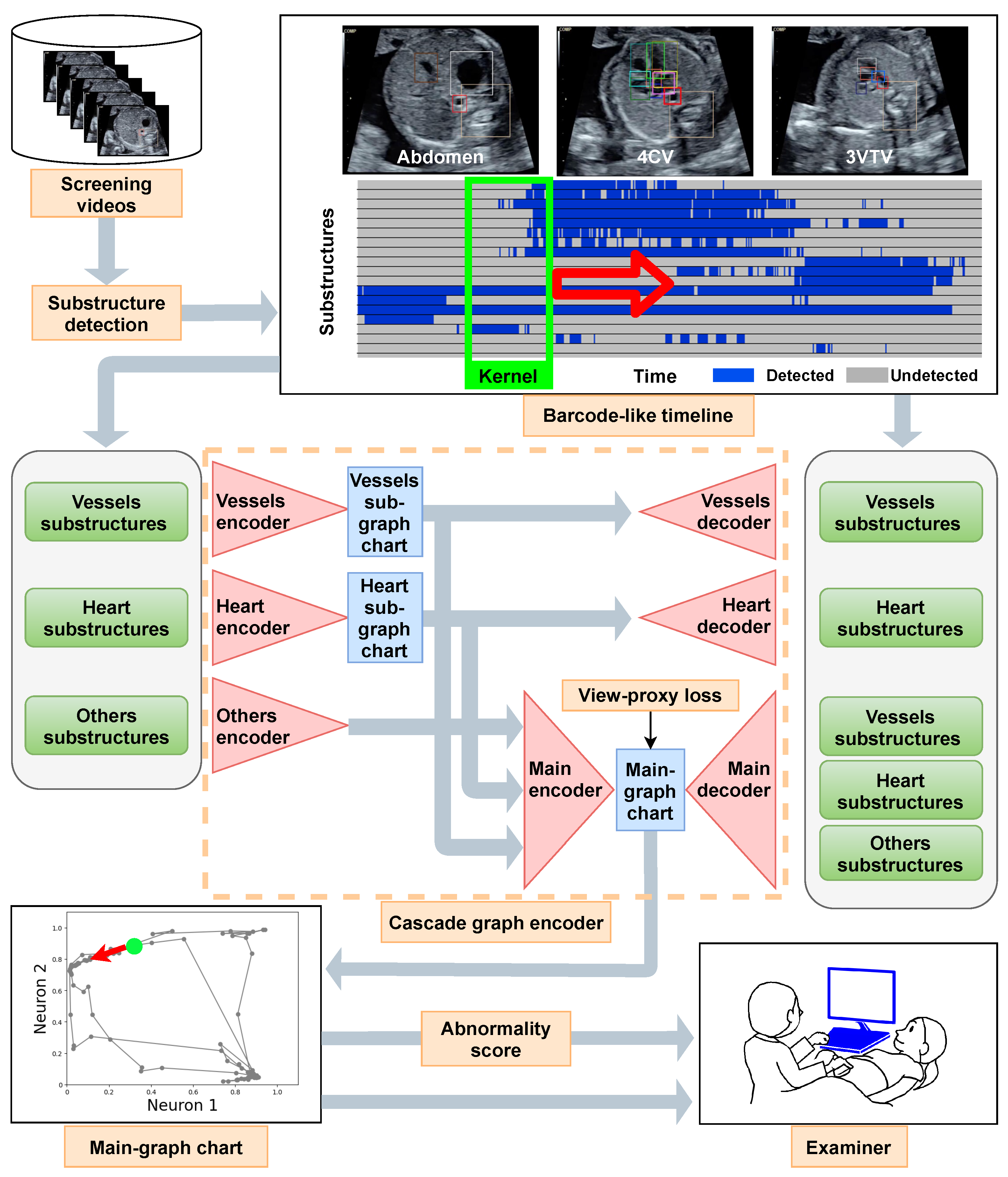 Biomedicines 10 00551 g001