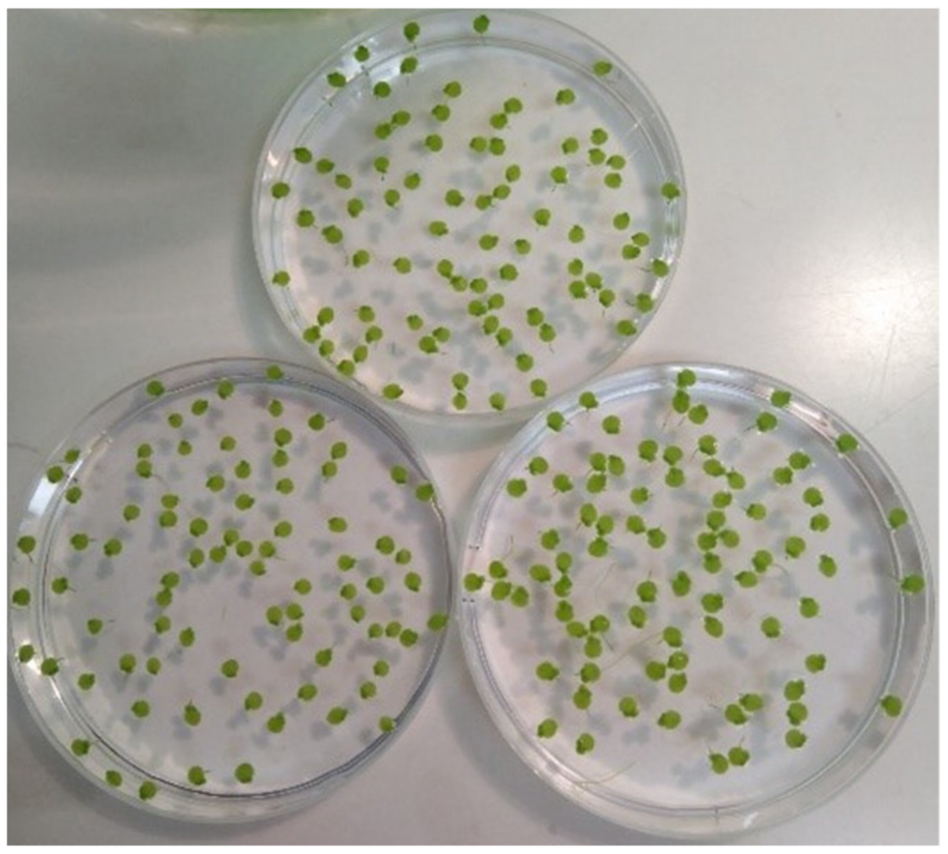 Biomedicines 10 00552 g002