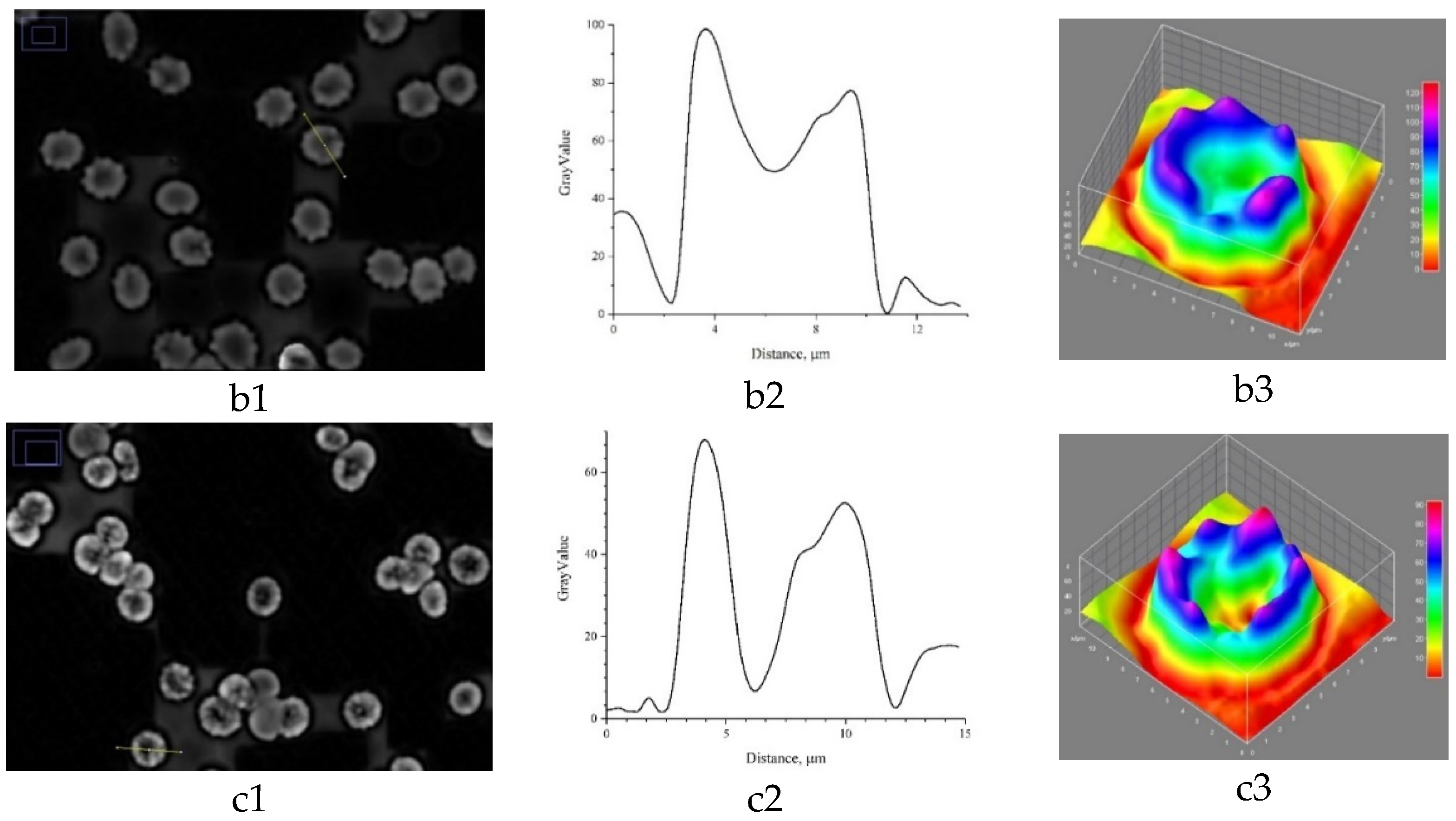 Biomedicines 10 00553 g004b