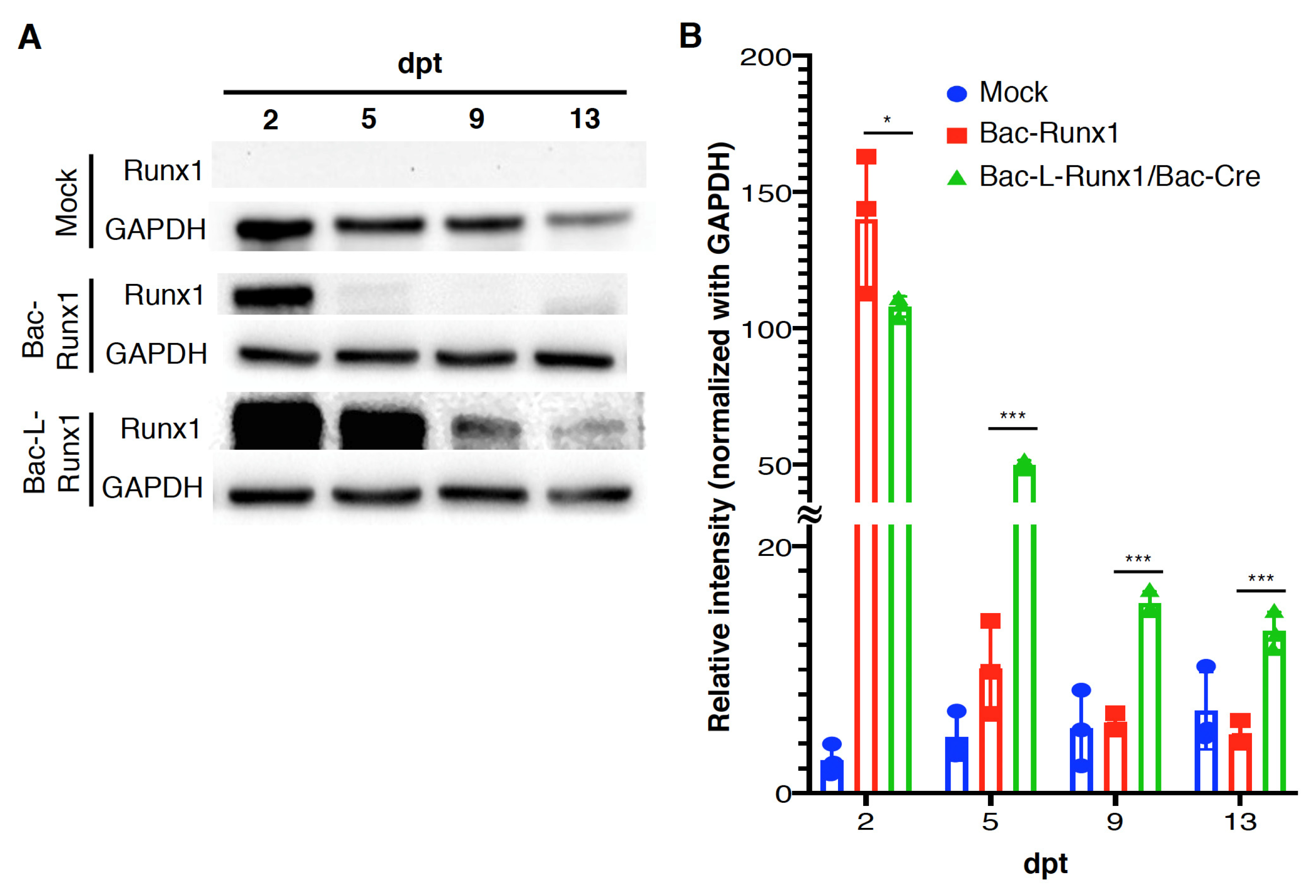 Biomedicines 10 00555 g002