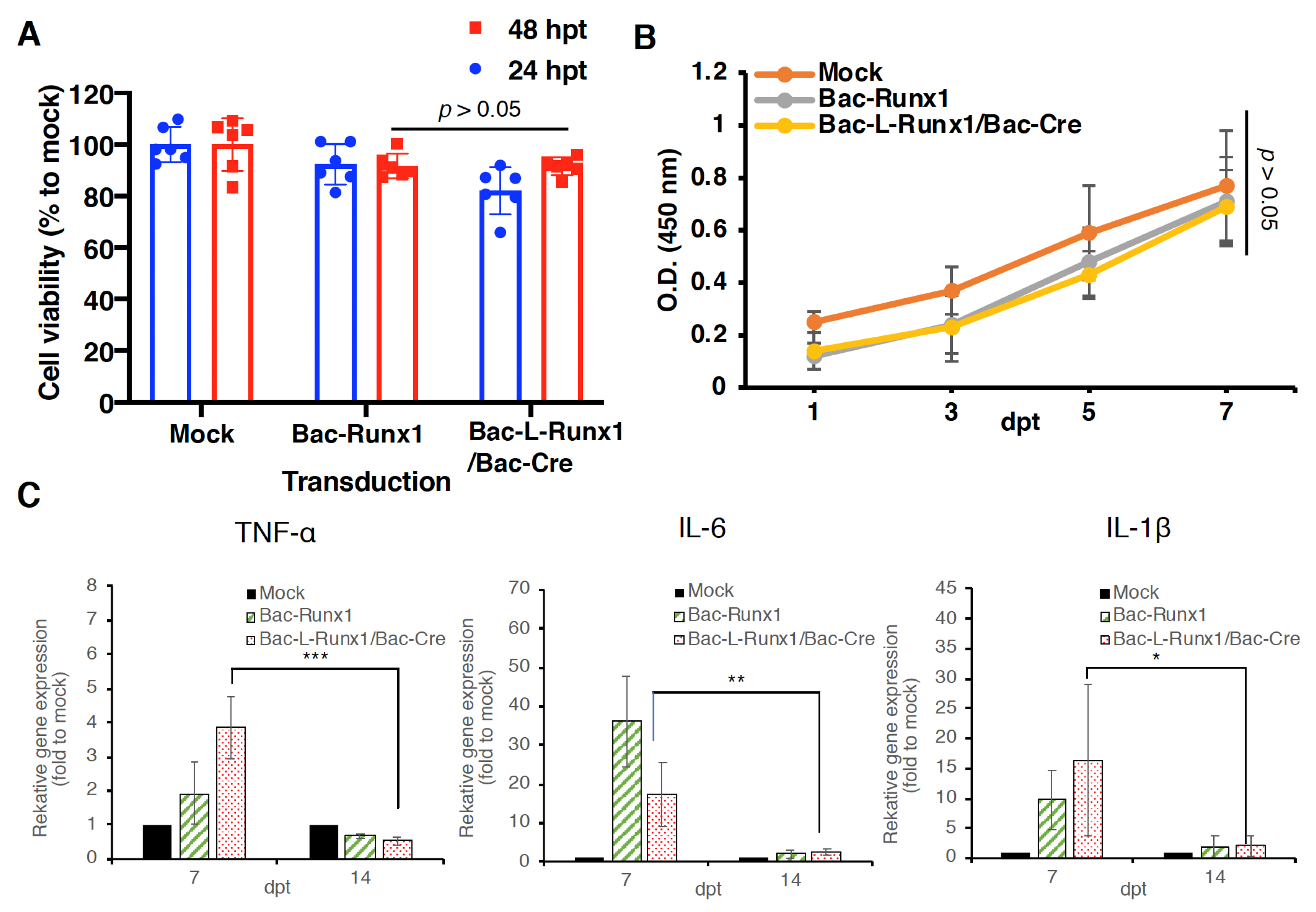 Biomedicines 10 00555 g003