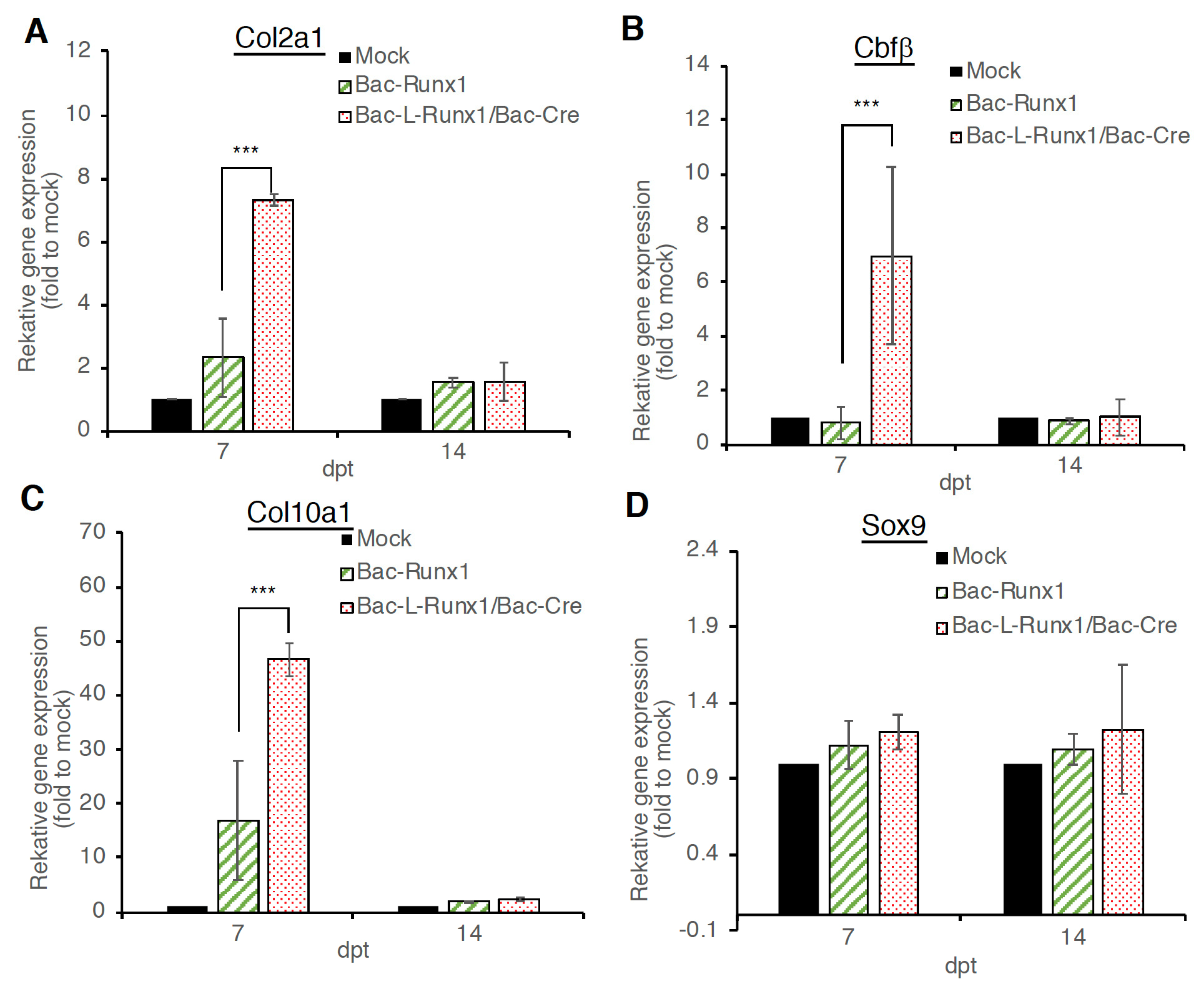 Biomedicines 10 00555 g004