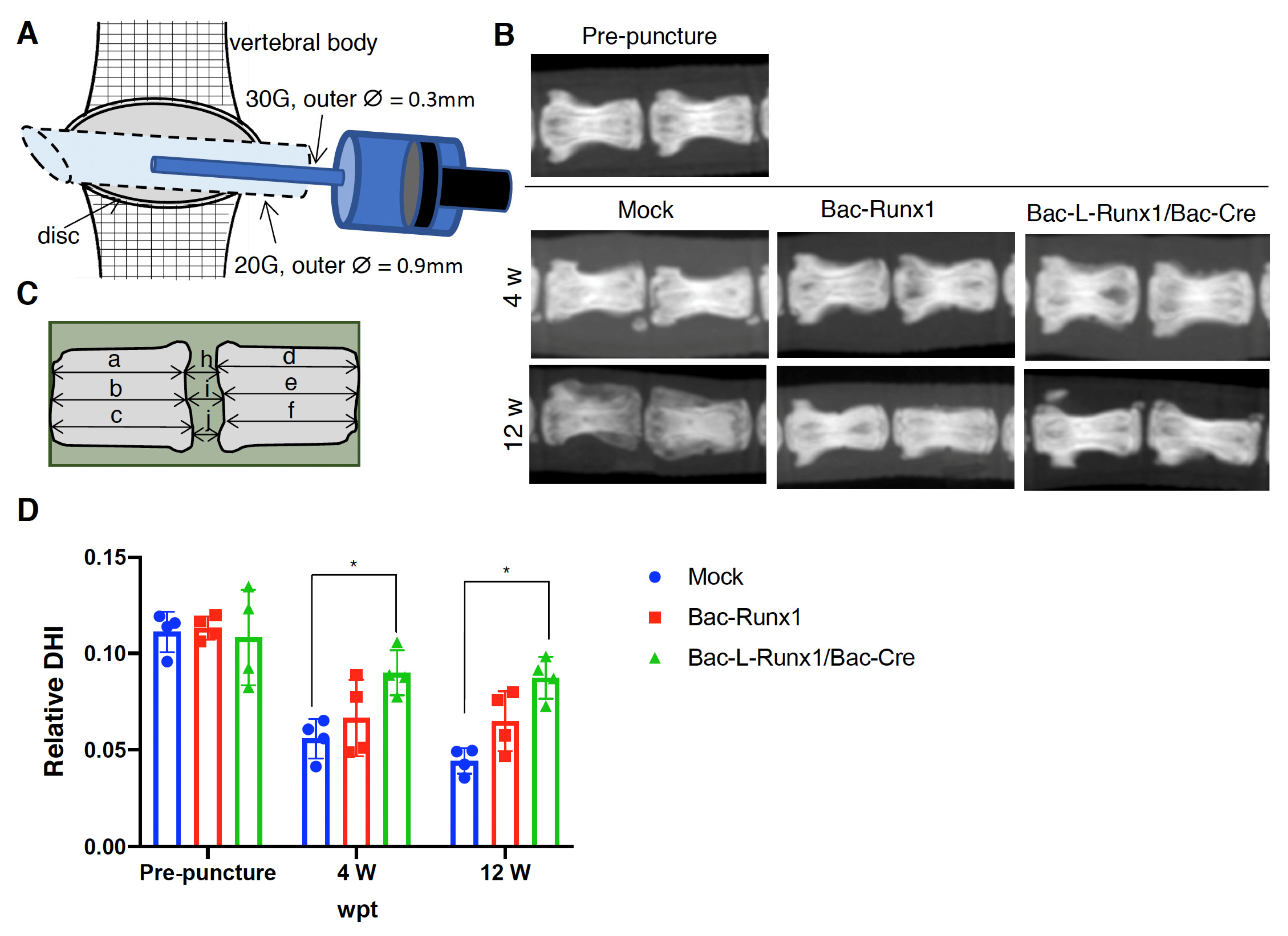 Biomedicines 10 00555 g006
