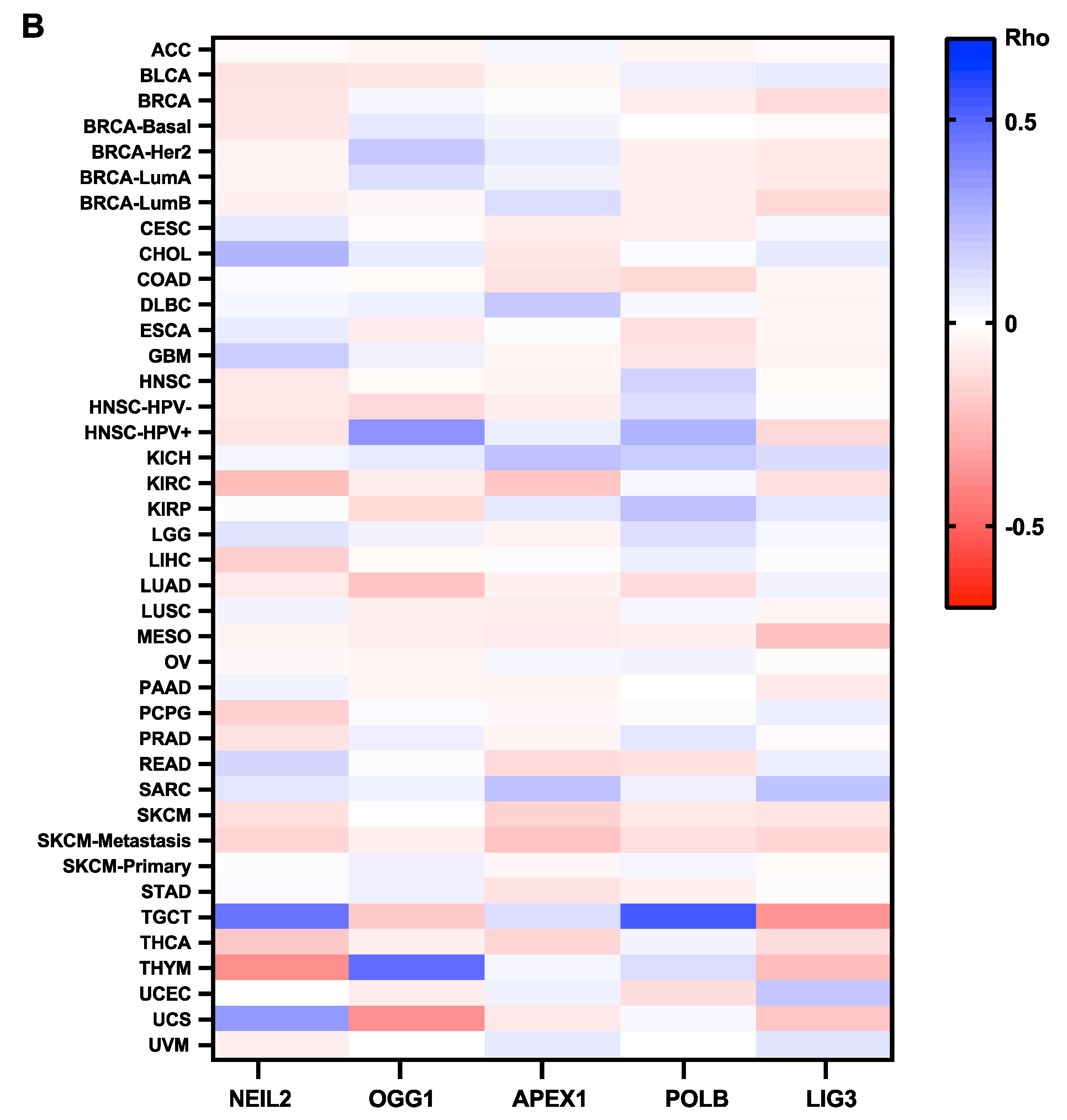 Biomedicines 10 00557 g003b Biomedicines 10 00557 g003b