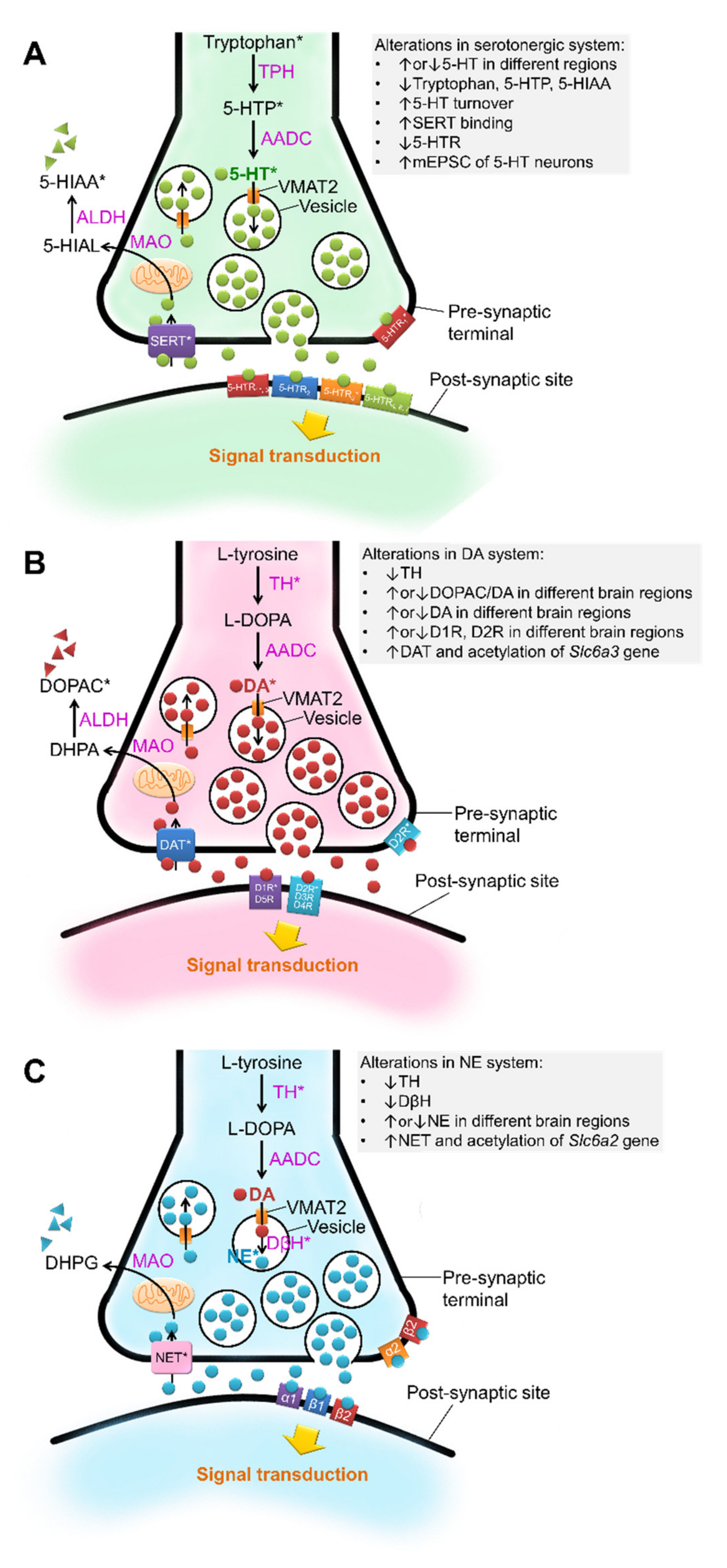 Biomedicines 10 00560 g002 Biomedicines 10 00560 g002