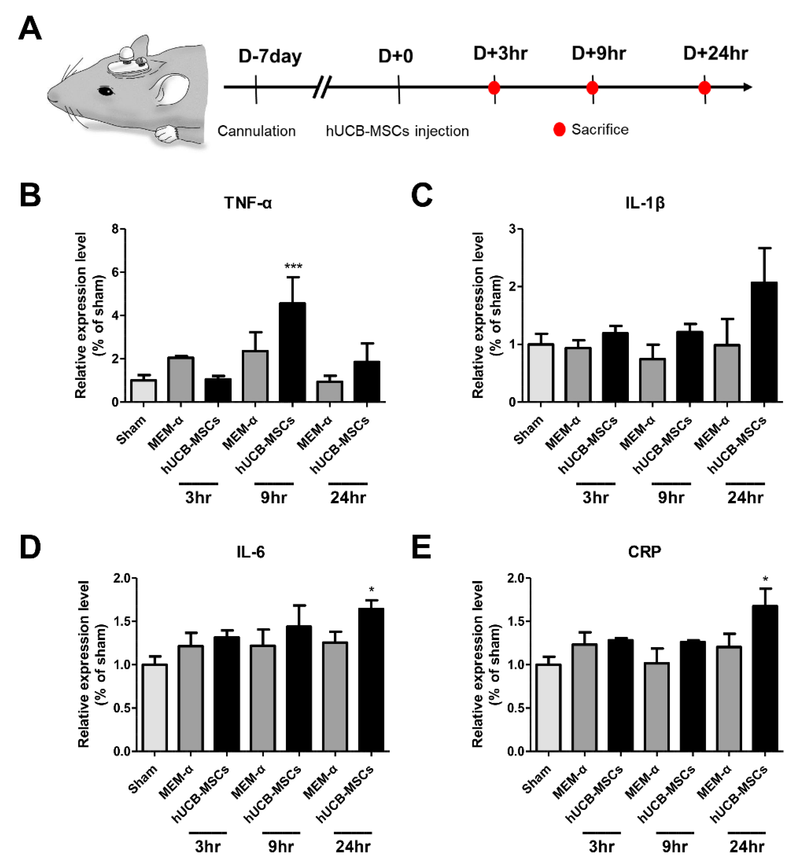 Biomedicines 10 00563 g002