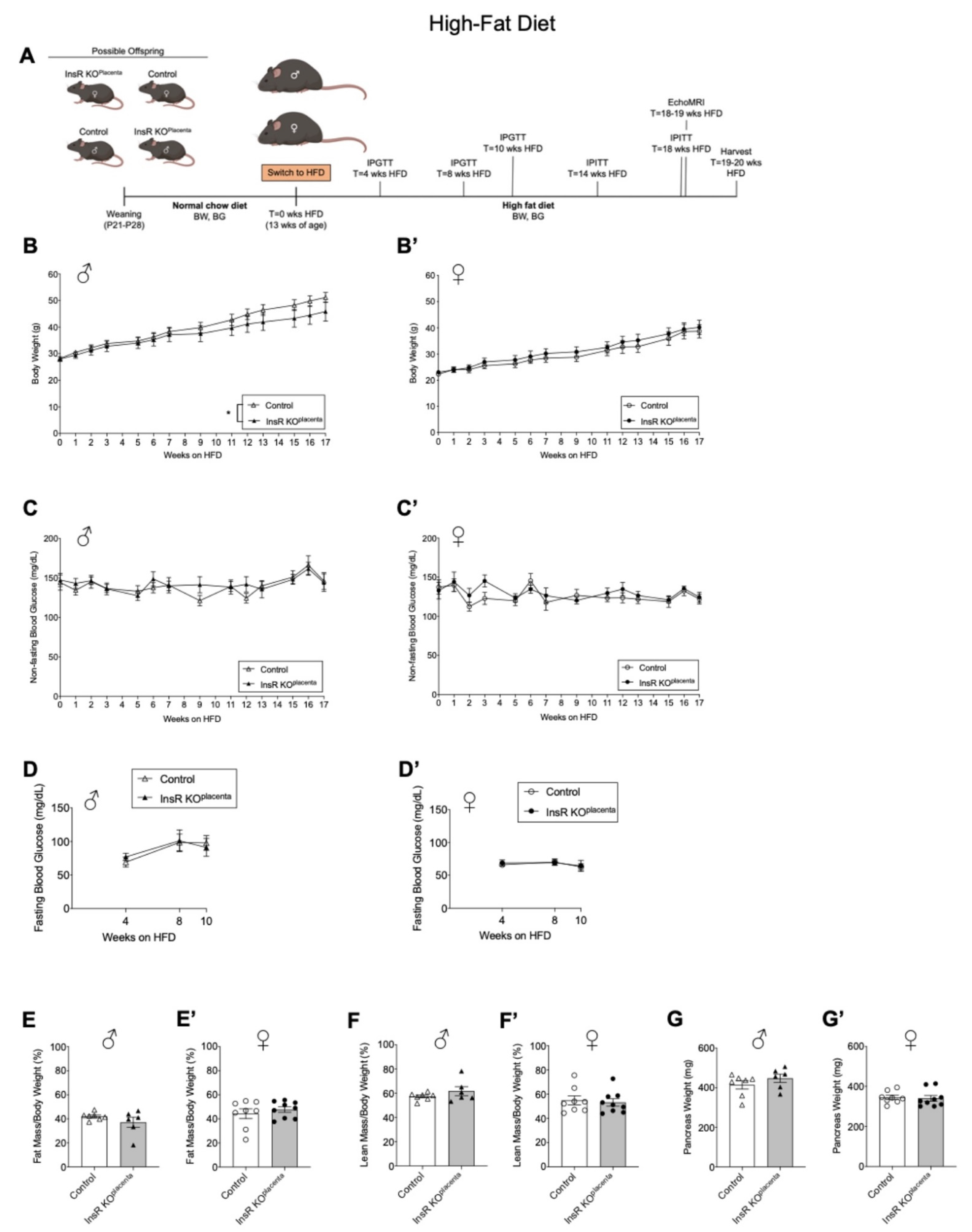 Biomedicines 10 00575 g003 Biomedicines 10 00575 g003