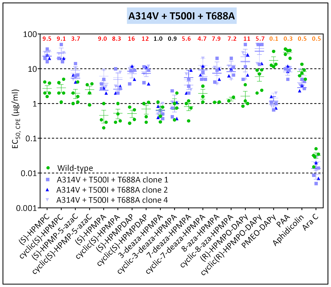 Biomedicines 10 00580 g005c