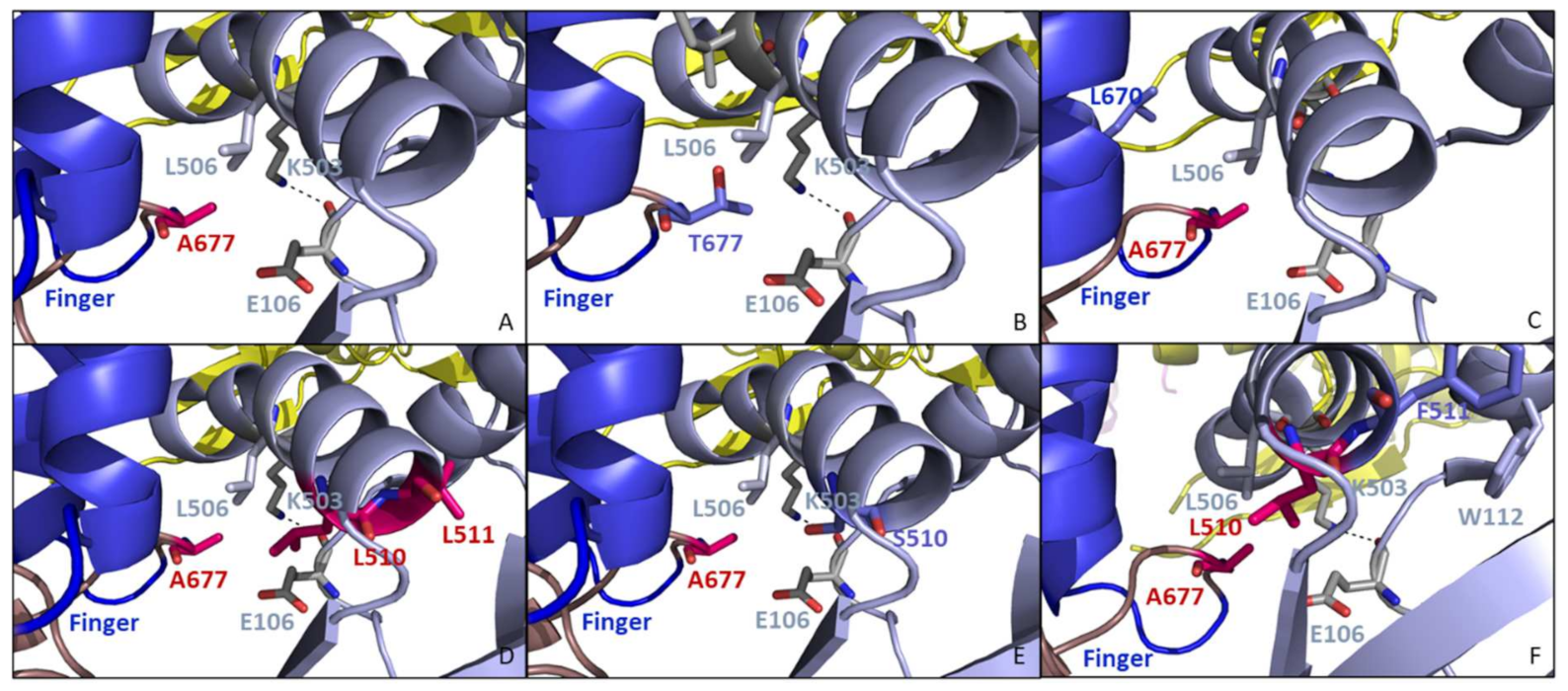 Biomedicines 10 00580 g011