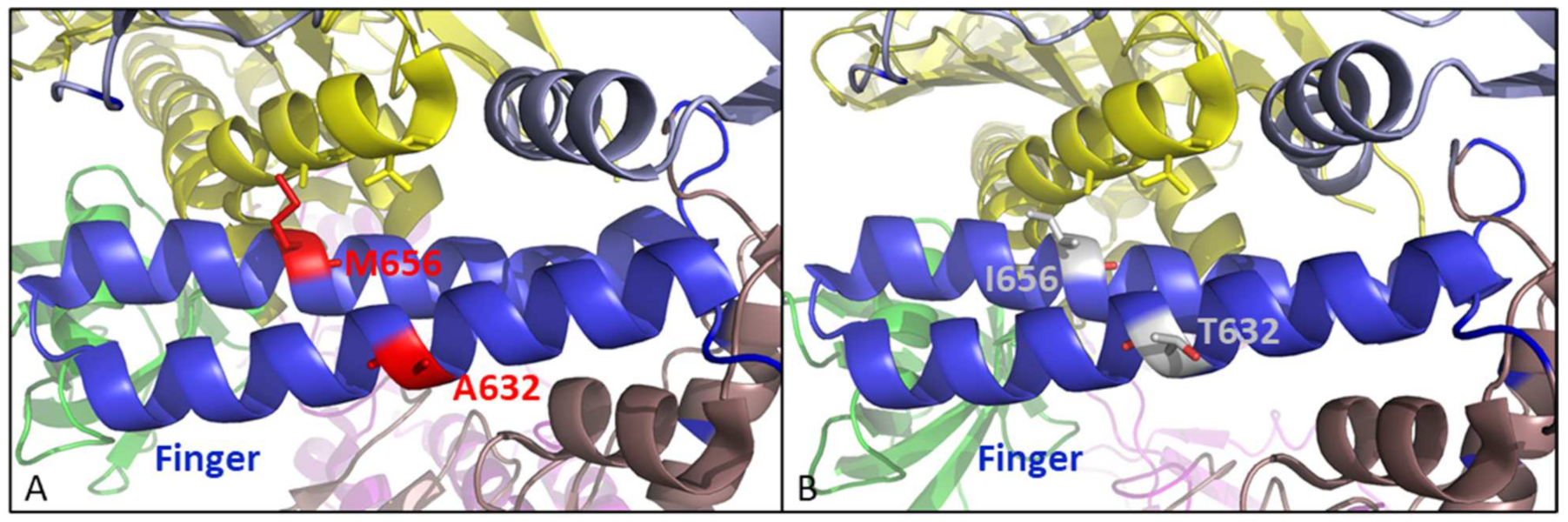 Biomedicines 10 00580 g012