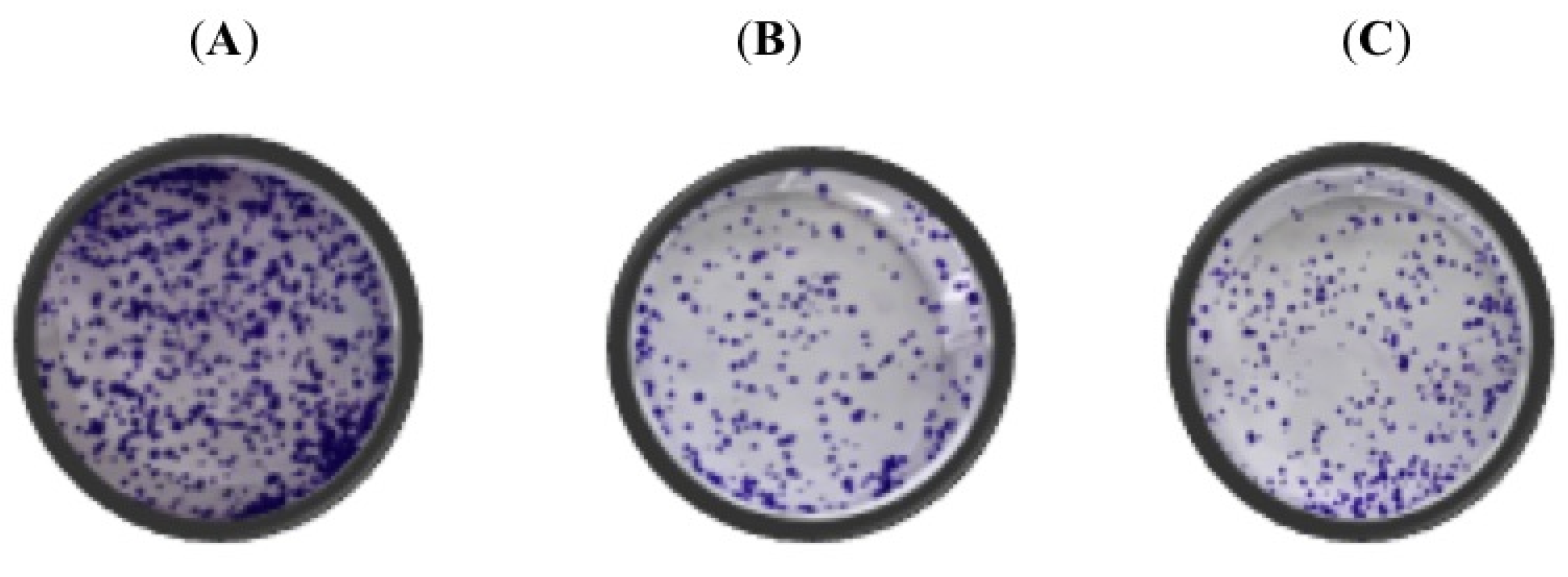 Biomedicines 10 00583 g002a