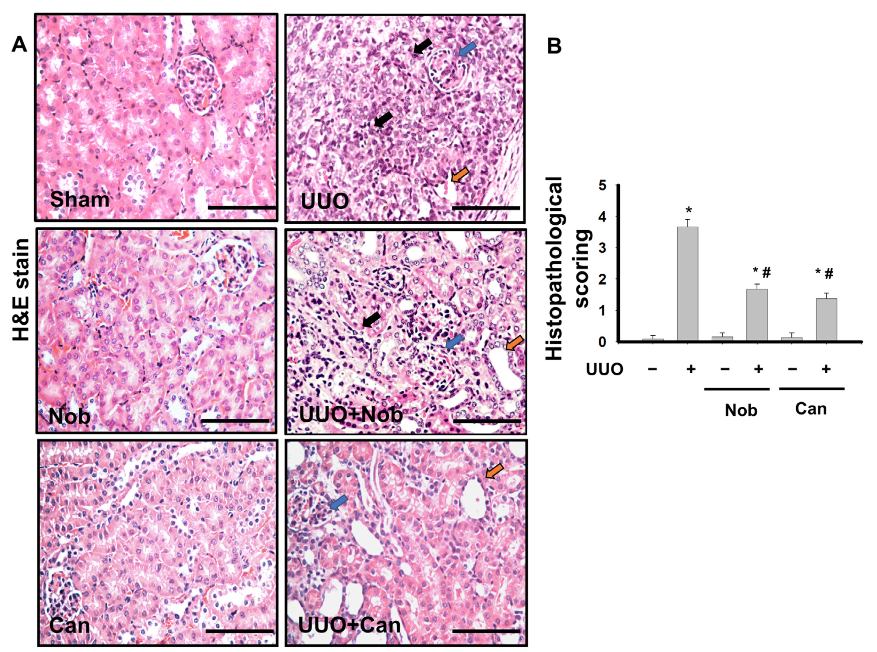 Biomedicines 10 00595 g001