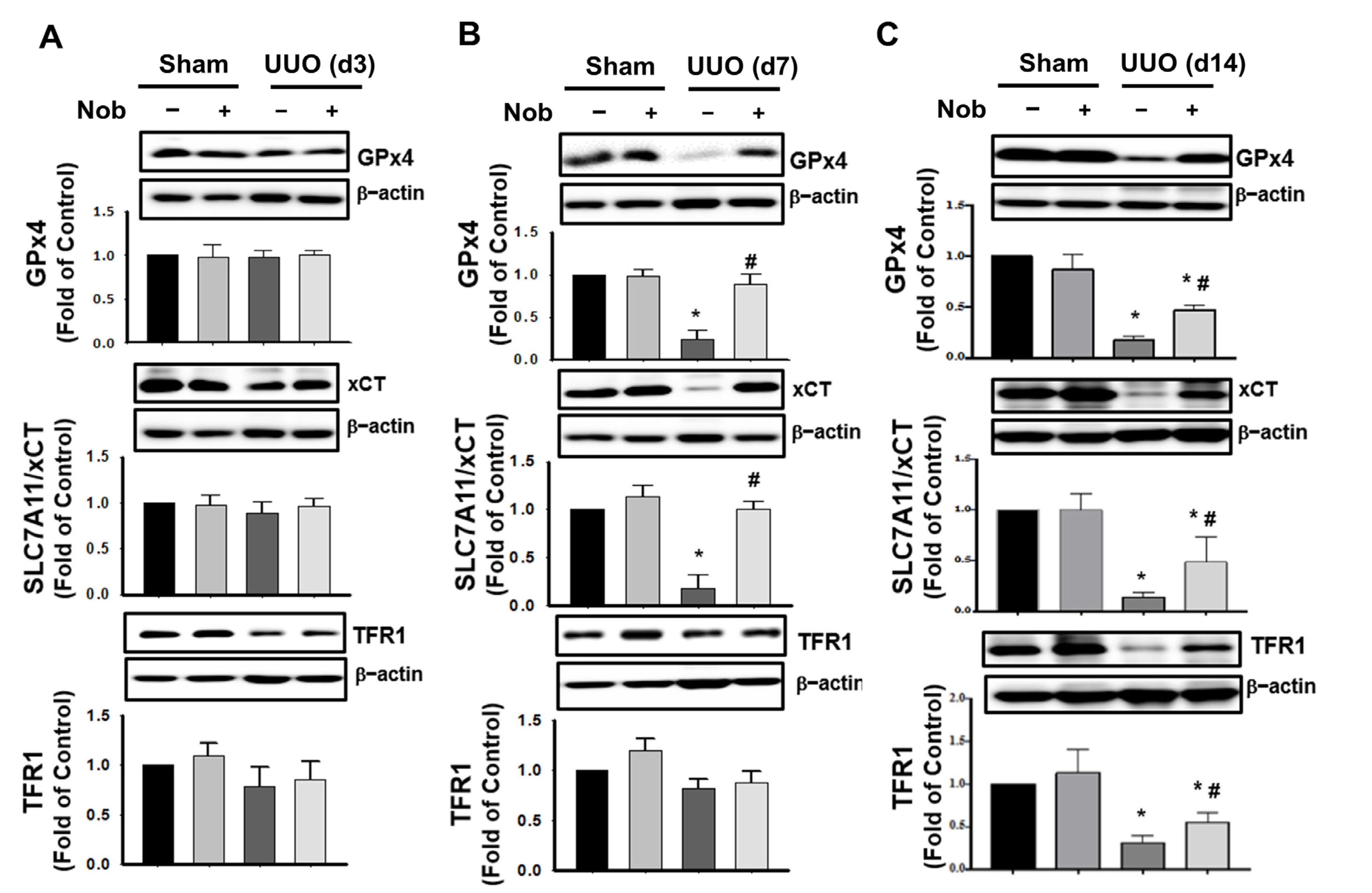 Biomedicines 10 00595 g005