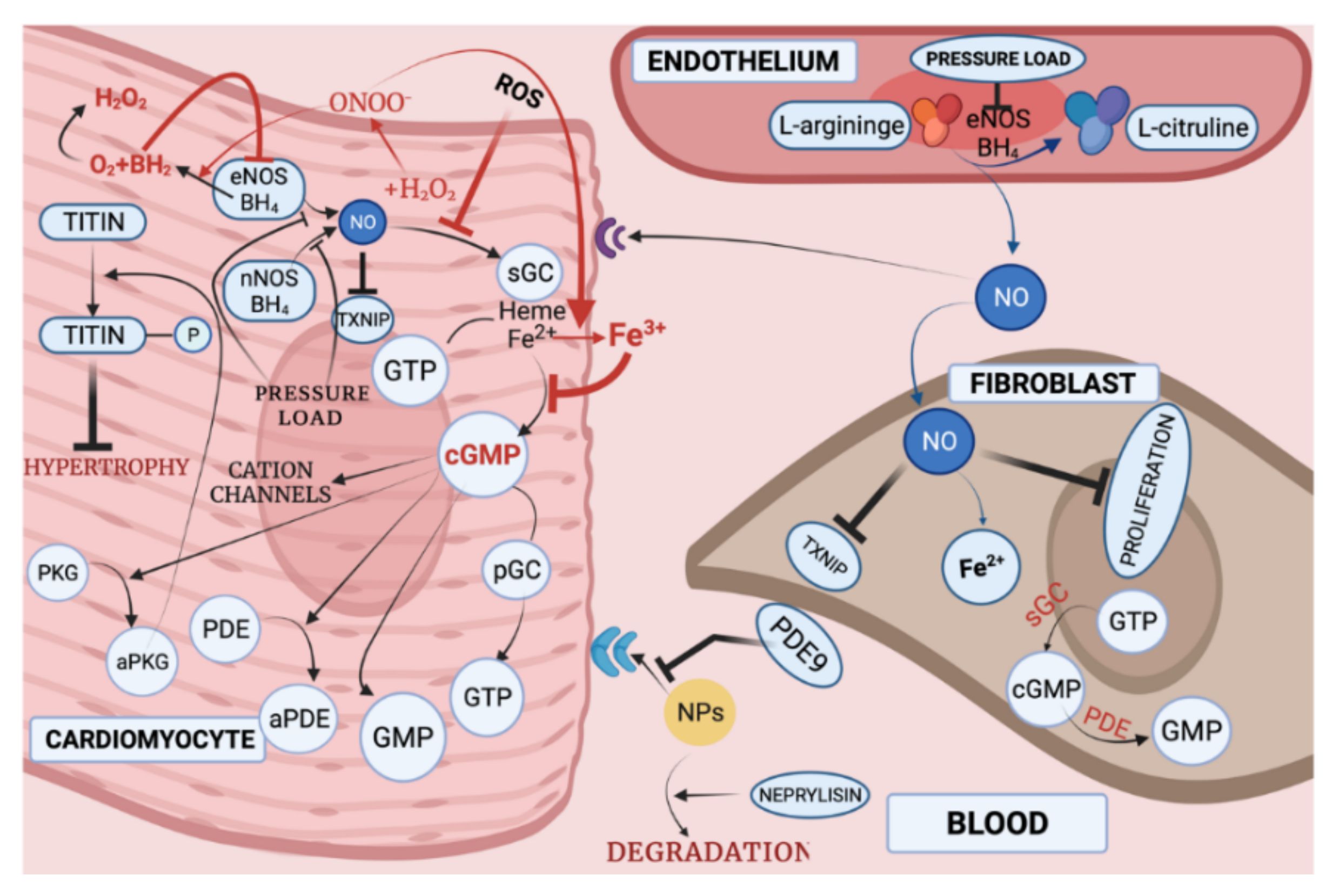 Biomedicines 10 00602 g005