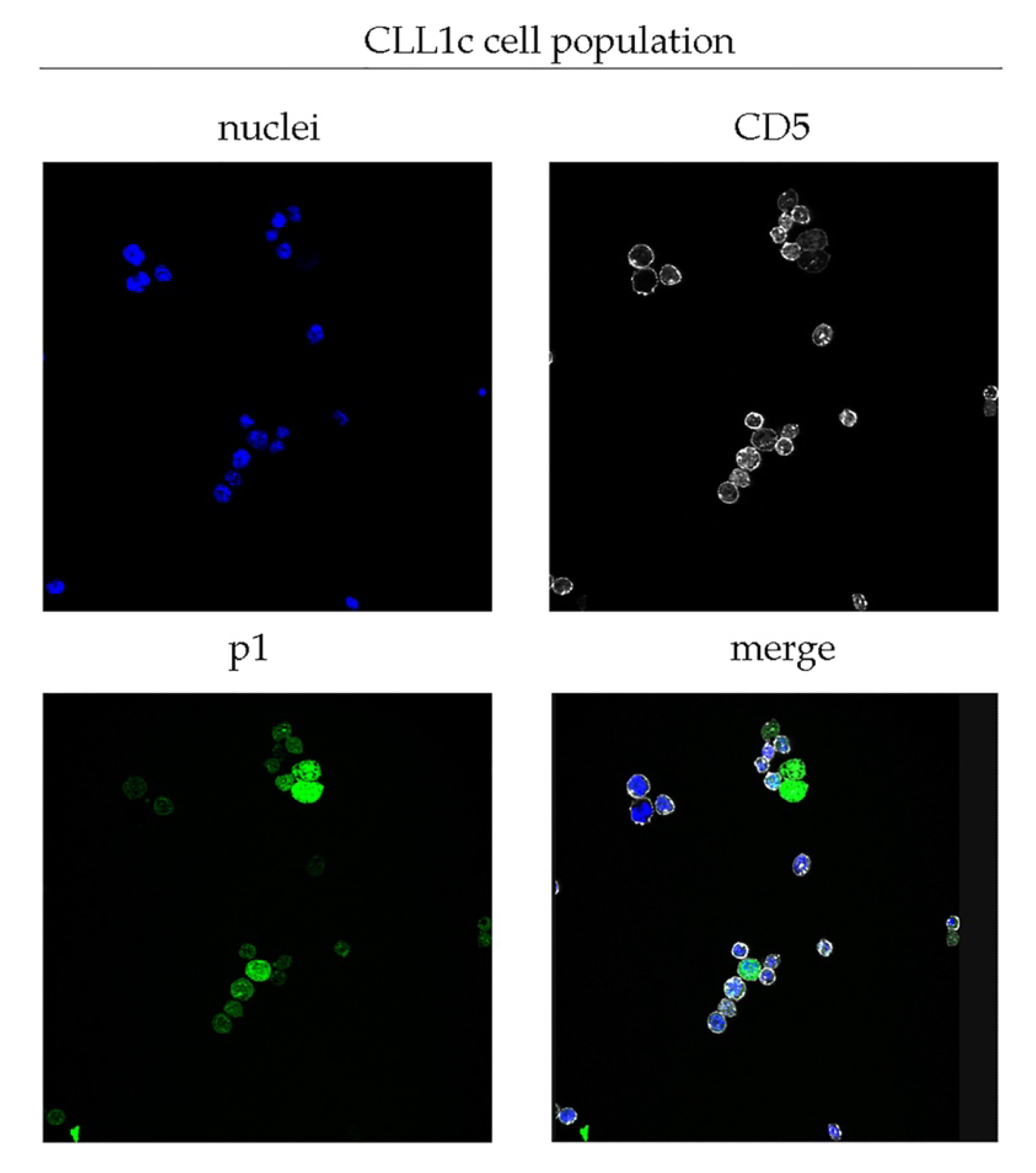 Biomedicines 10 00604 g001