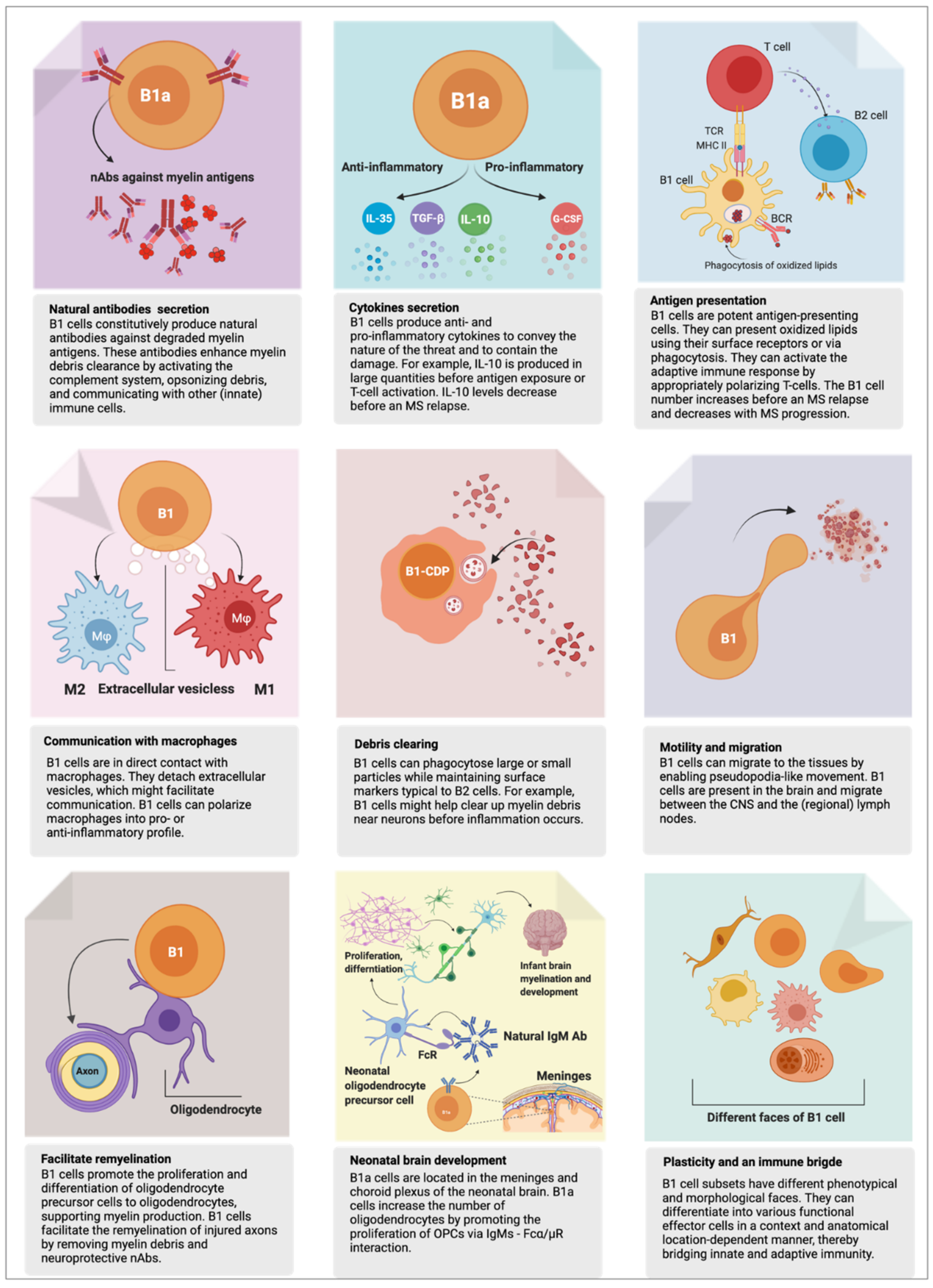Biomedicines 10 00606 g002 Biomedicines 10 00606 g002