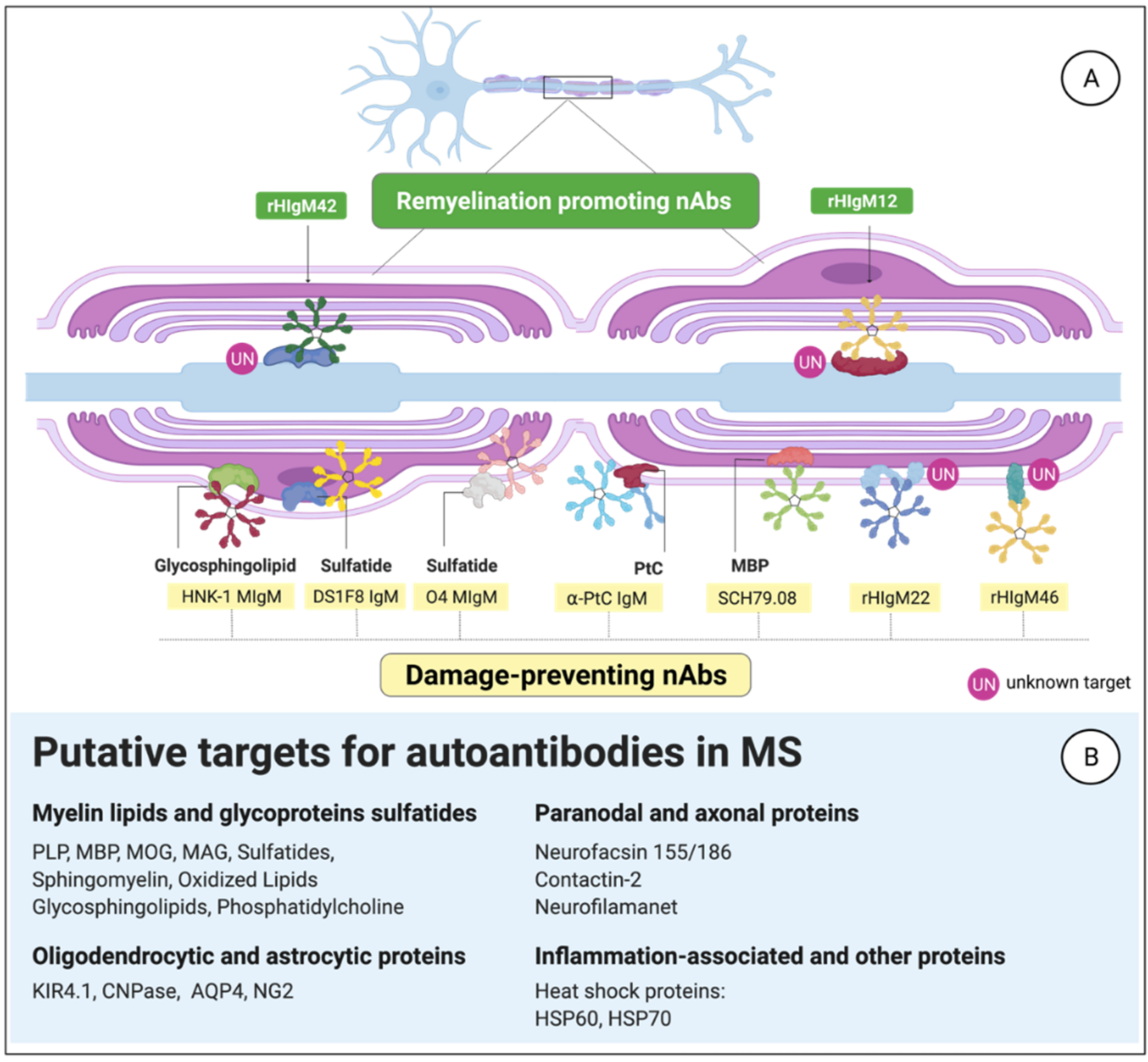 Biomedicines 10 00606 g004 Biomedicines 10 00606 g004