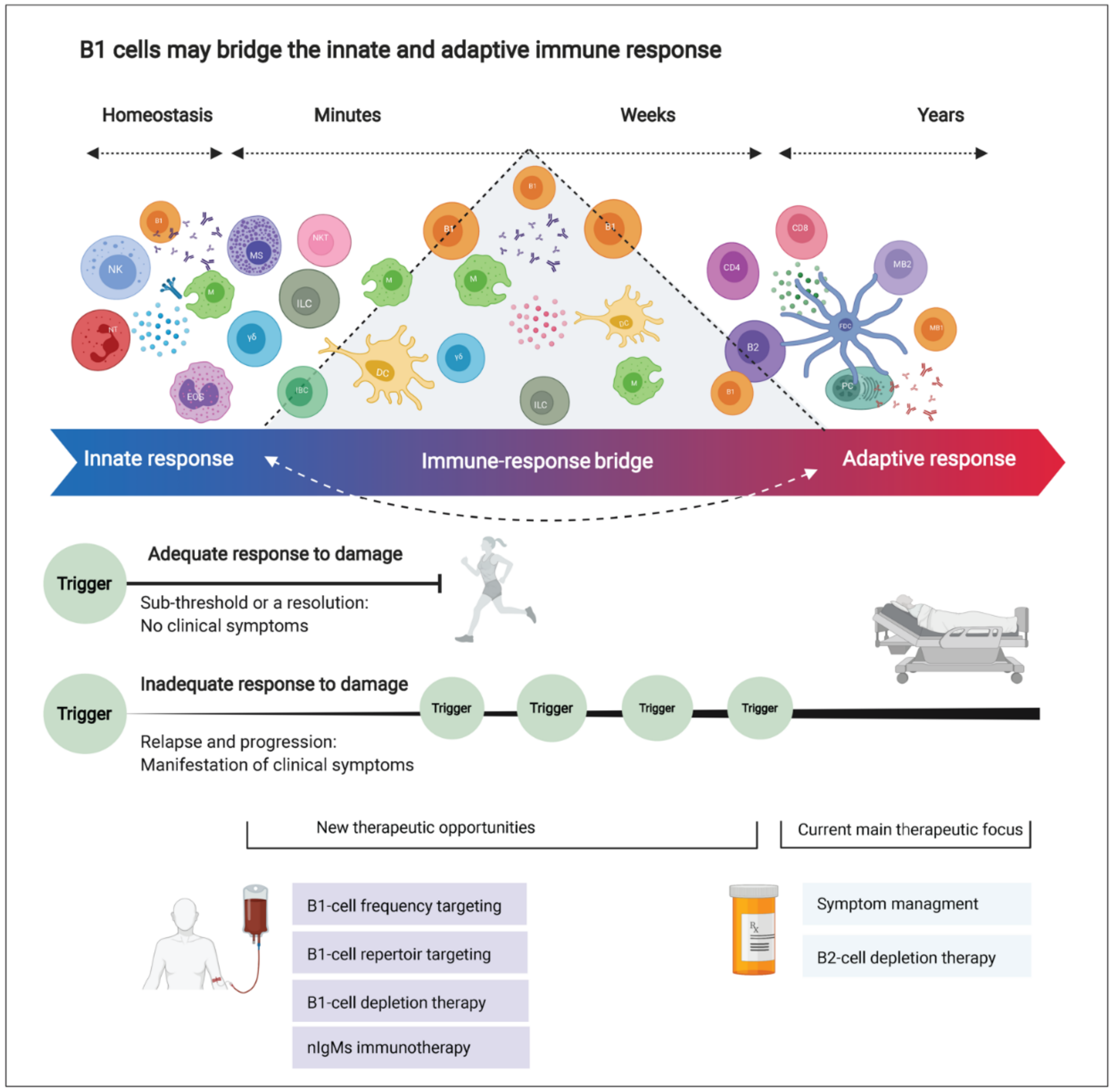 Biomedicines 10 00606 g006 Biomedicines 10 00606 g006