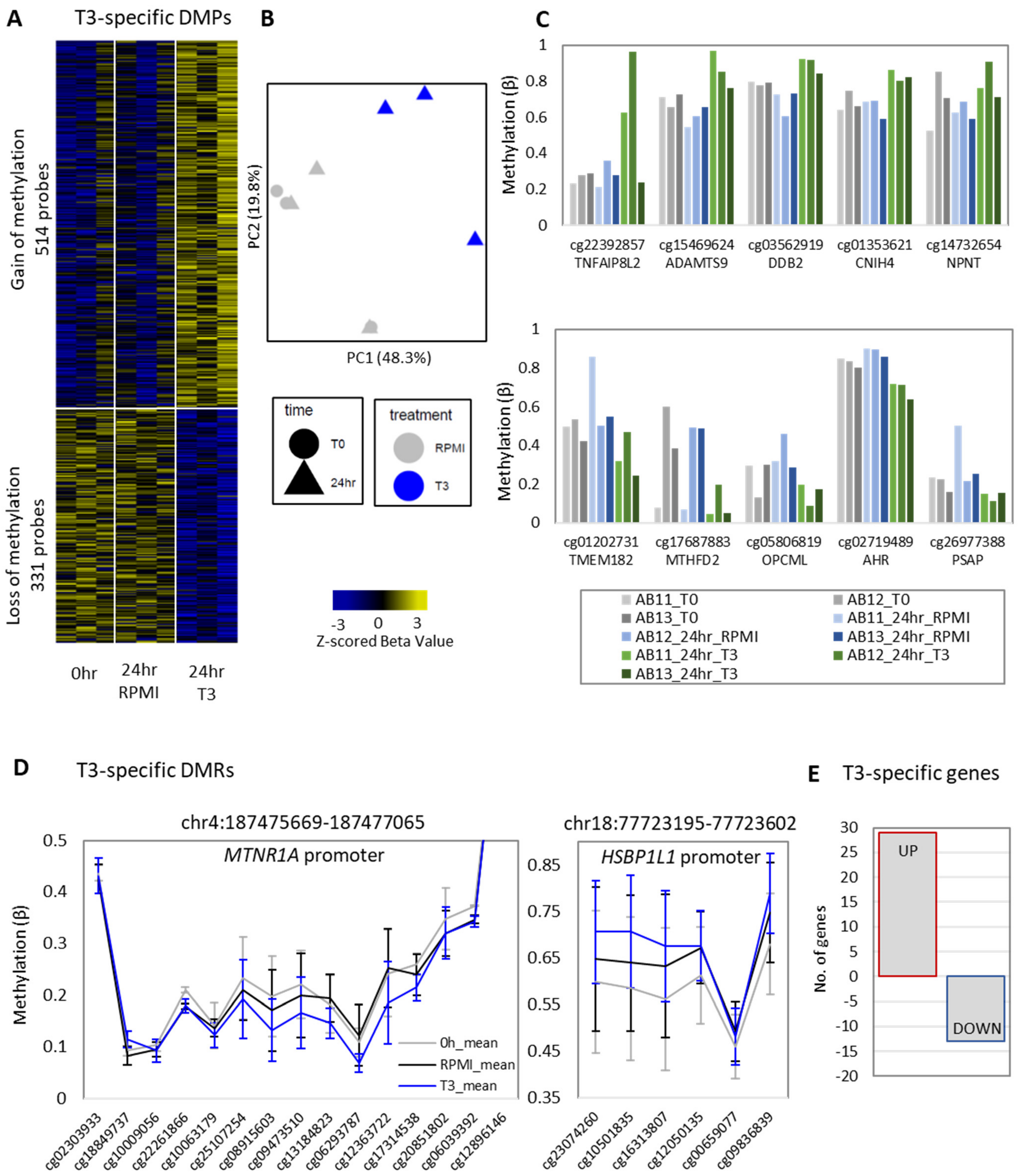 Biomedicines 10 00608 g002