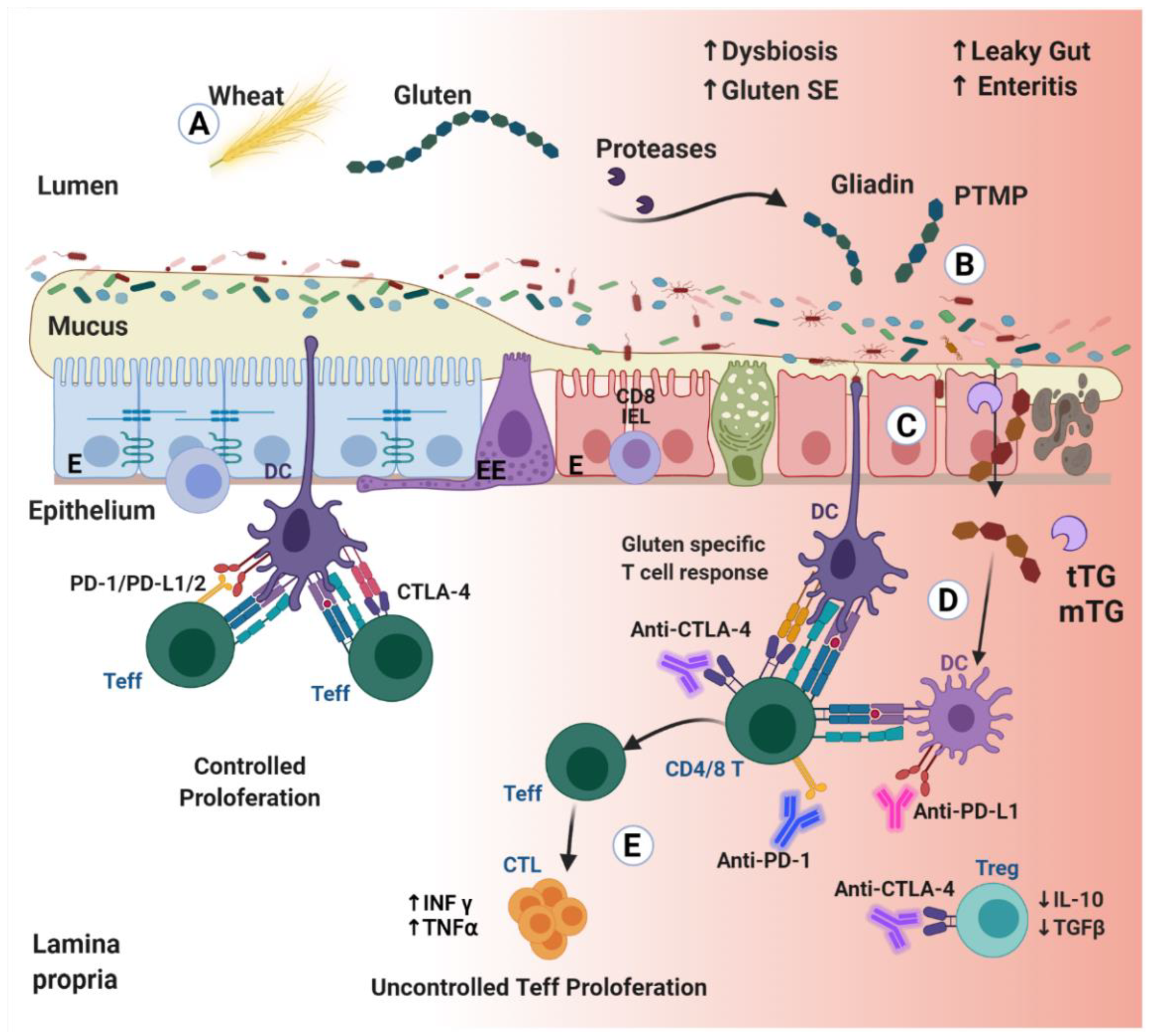 Biomedicines 10 00609 g002 Biomedicines 10 00609 g002