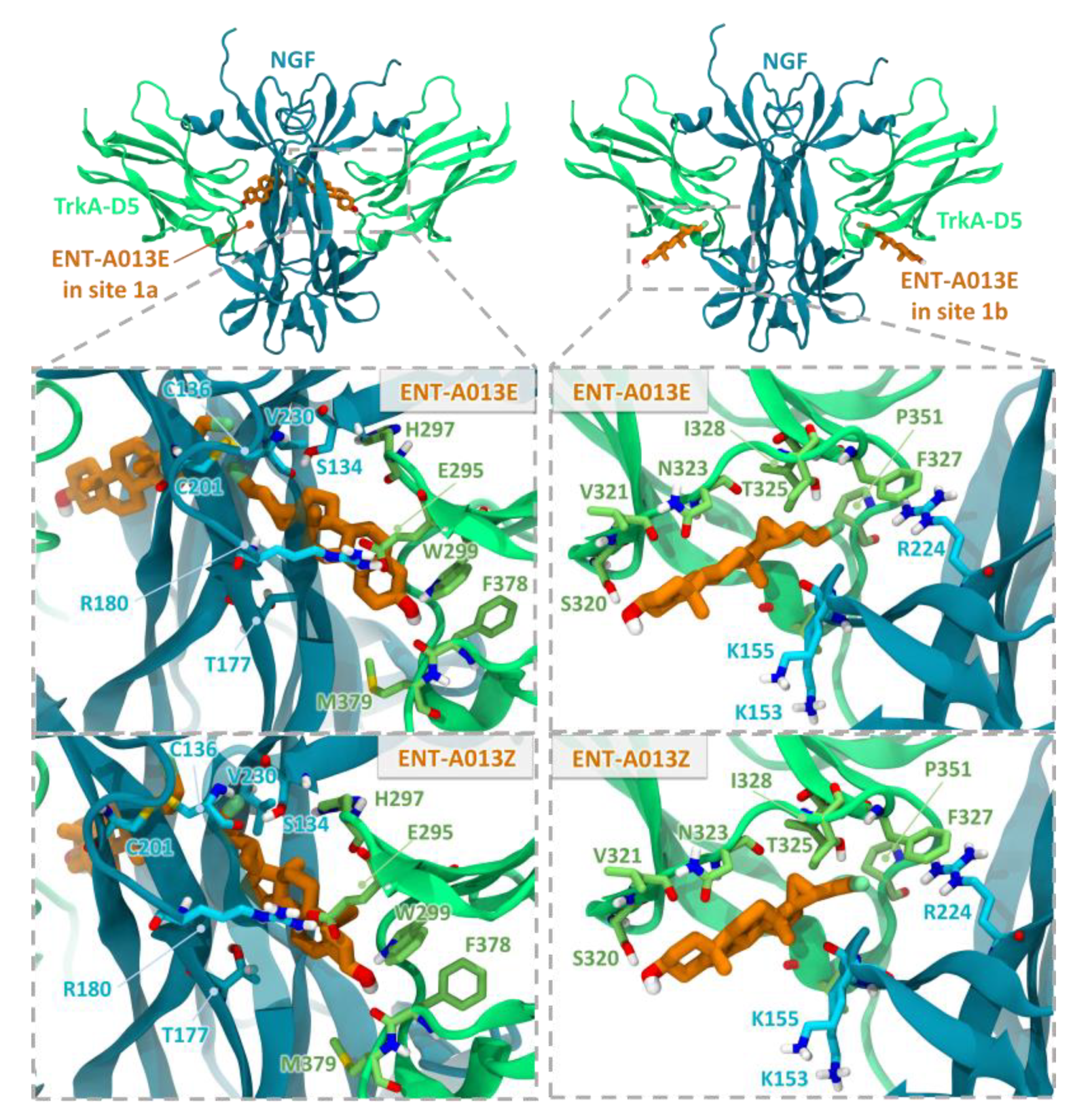 Biomedicines 10 00614 g001